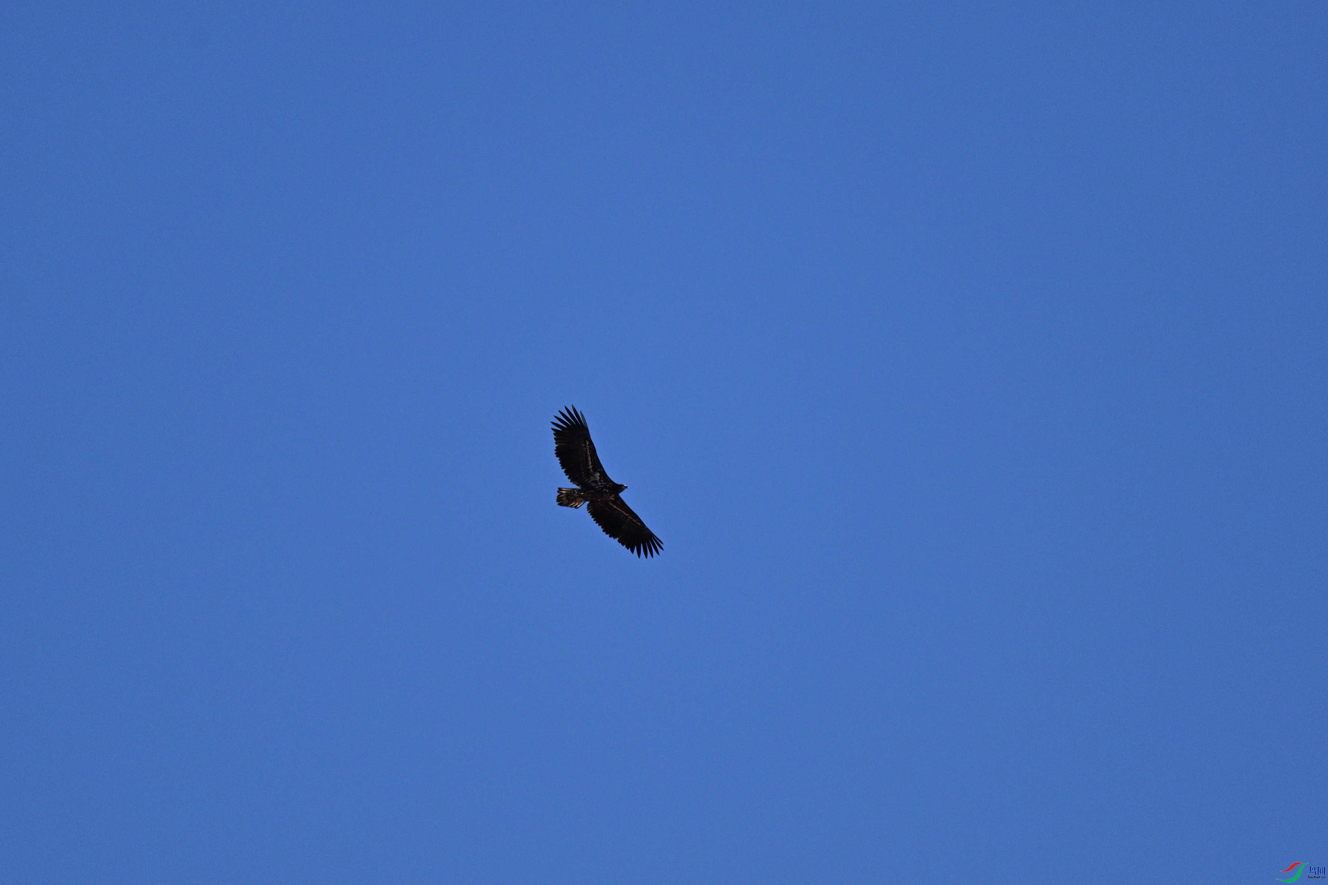 DSC_0416_����.jpg