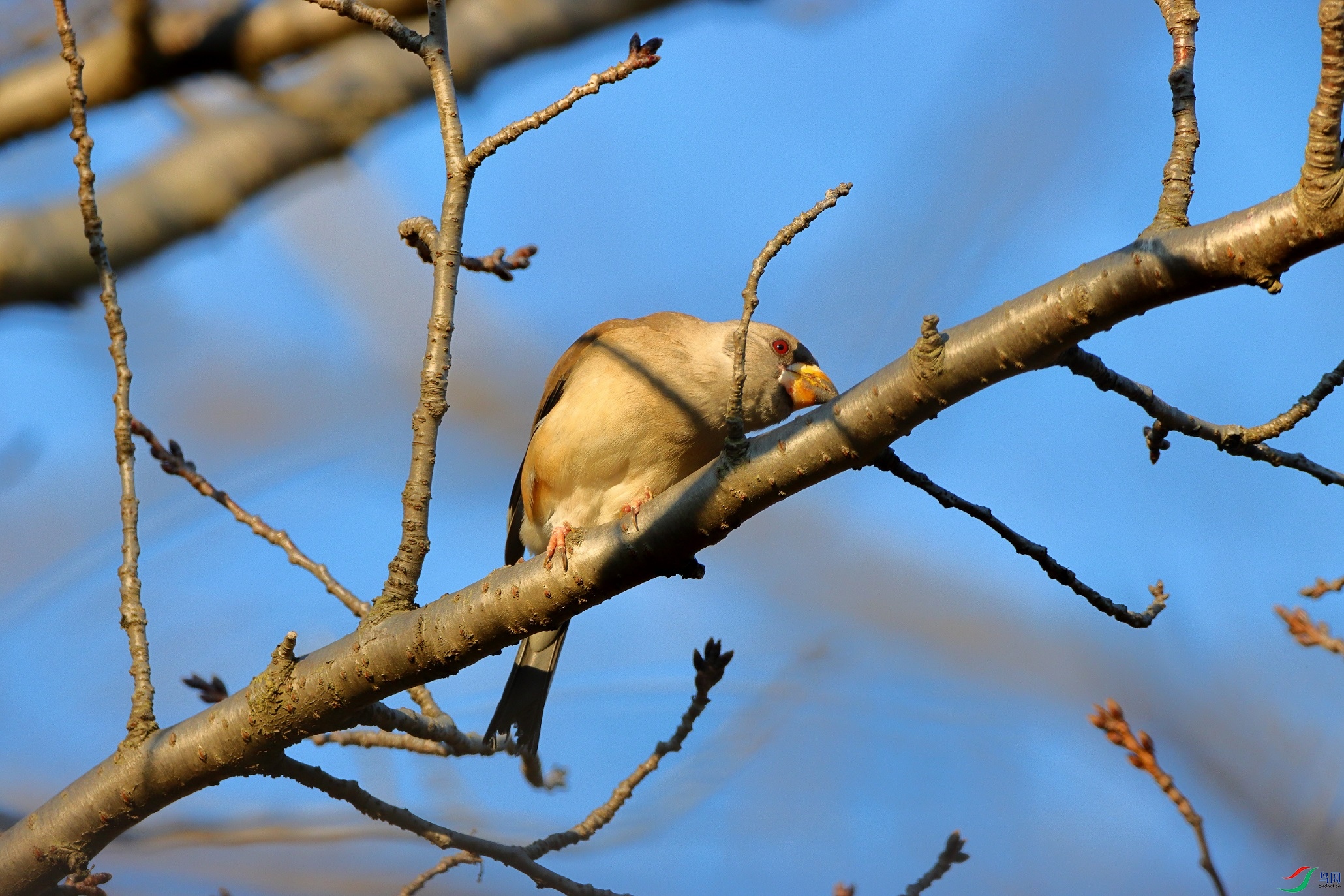 IMG_5973a1.jpg