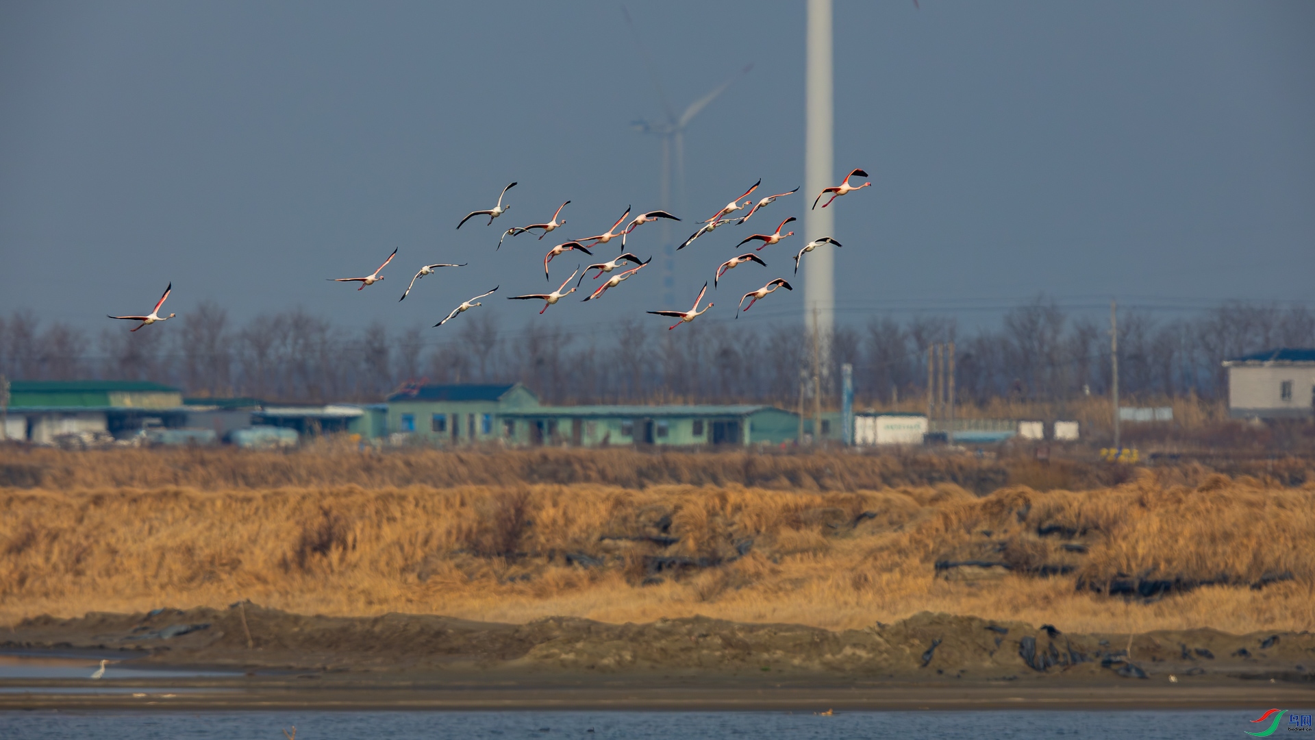 _D5A0440.jpg