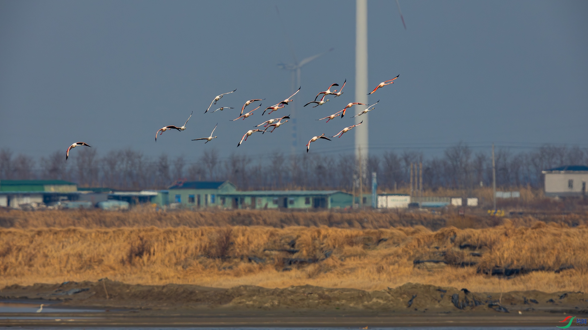 _D5A0444.jpg