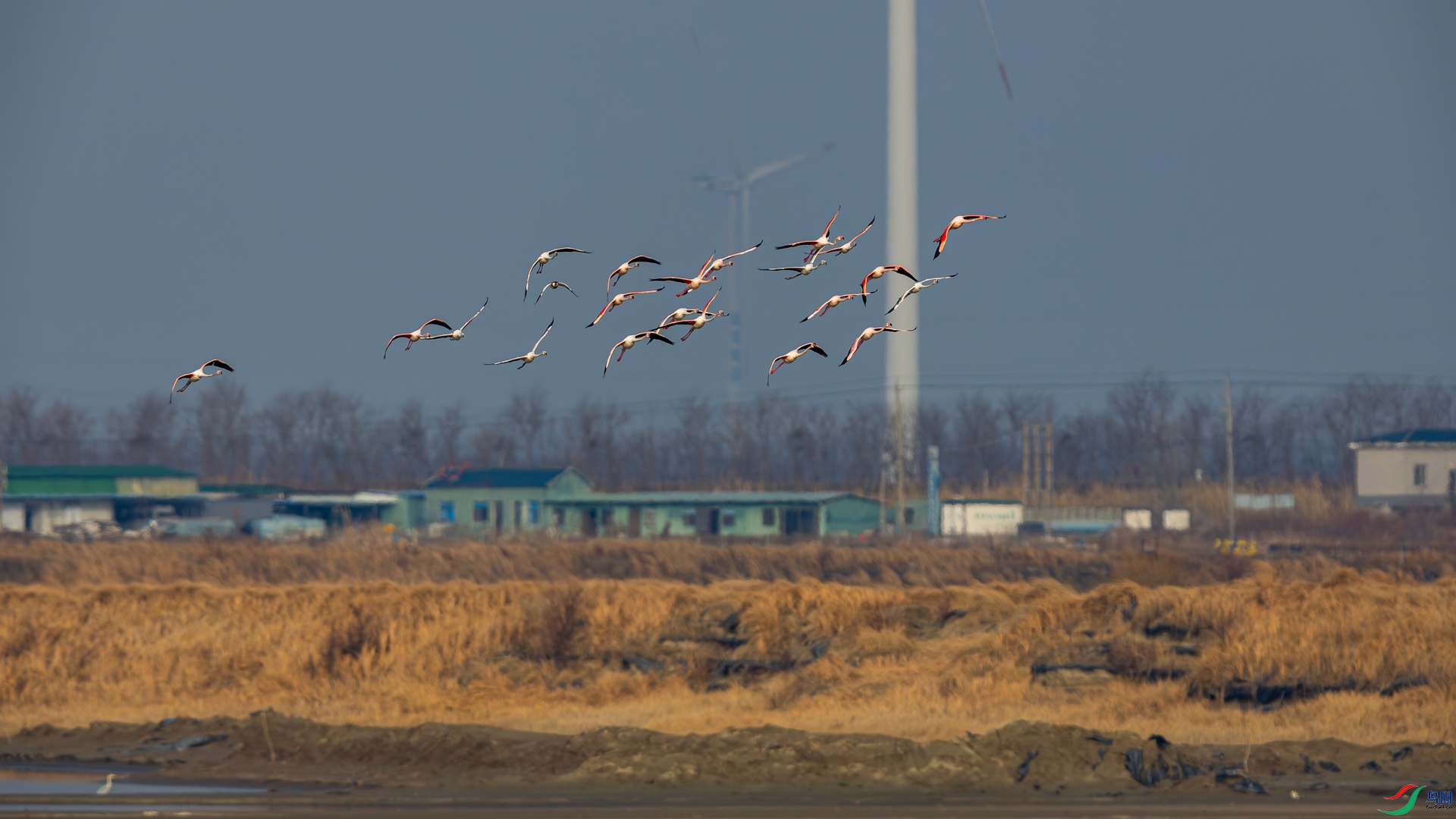 _D5A0445.jpg