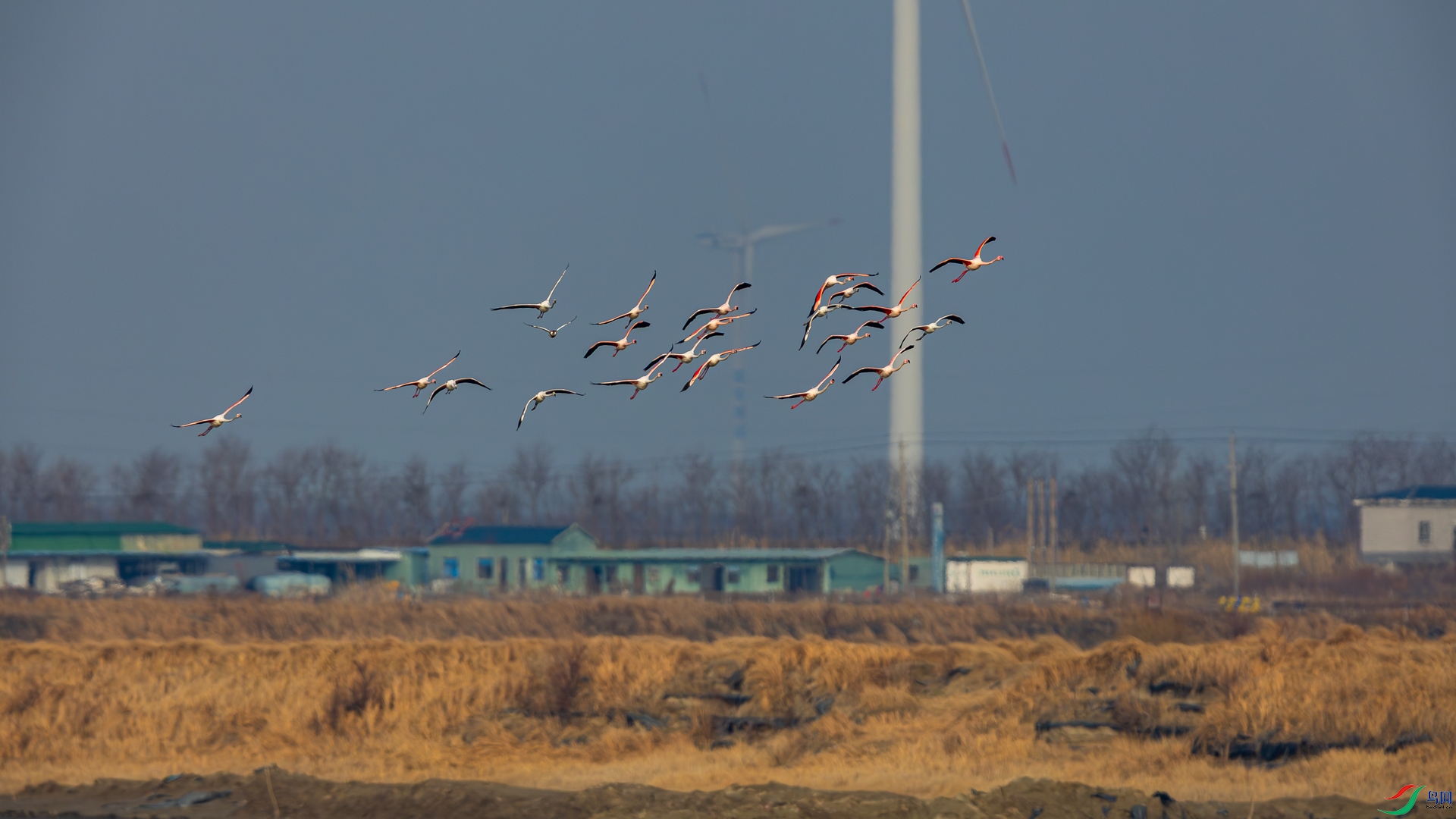 _D5A0448.jpg