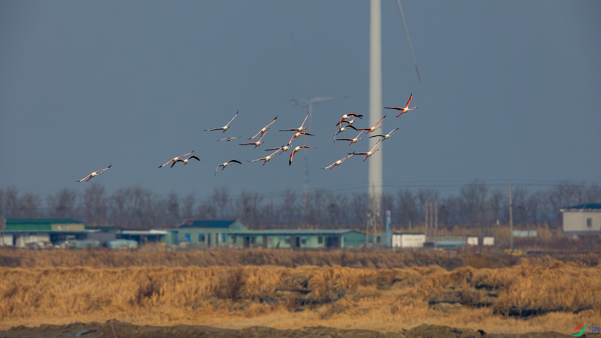 _D5A0110.jpg