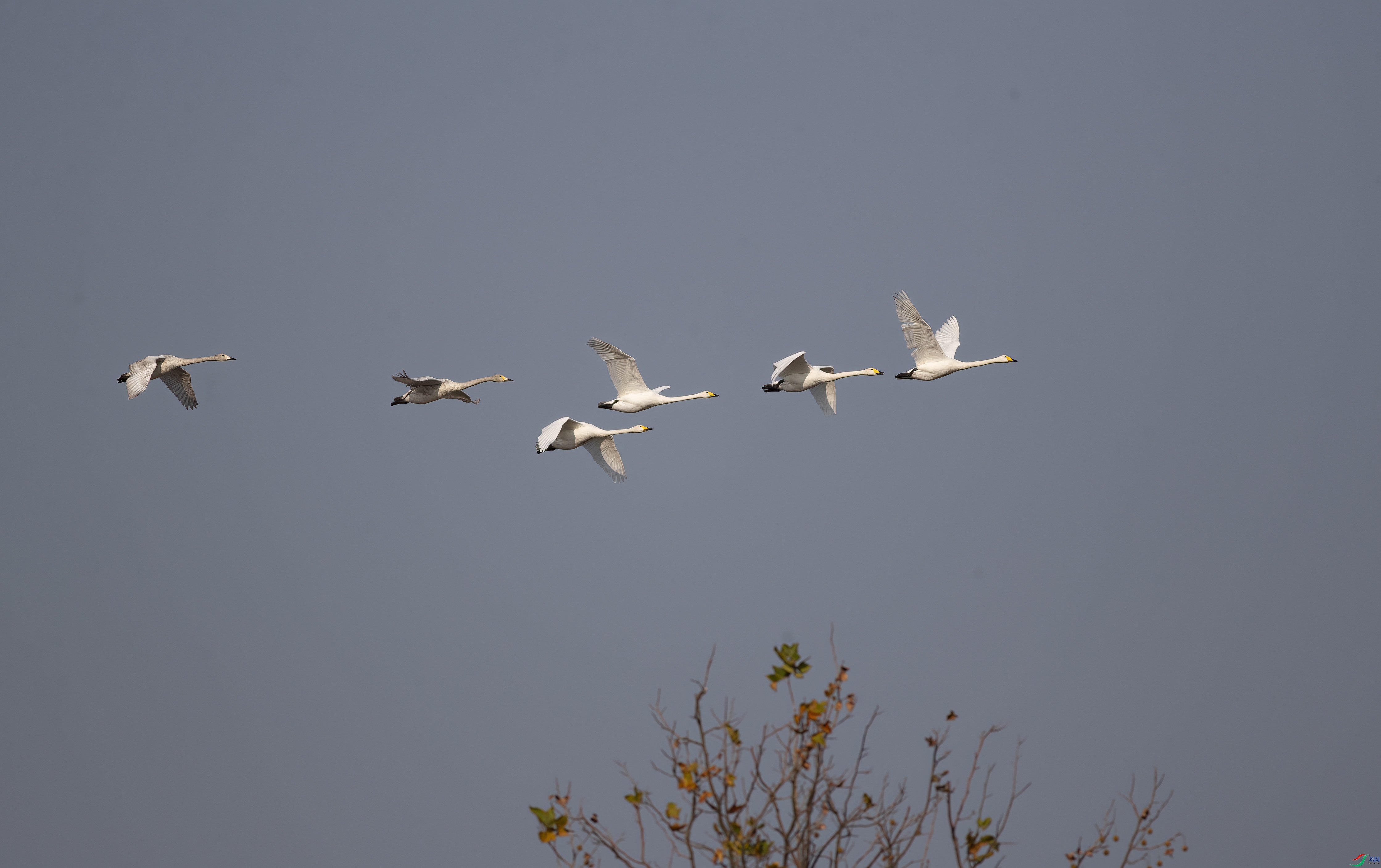 IMG_5732.jpg