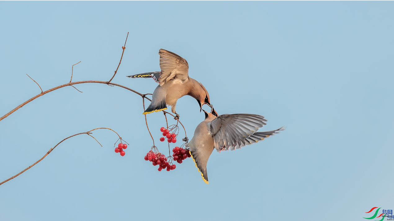 ̫ƽ�� [�ٻ�ÿ�ռ���] ��»��ϲ.png