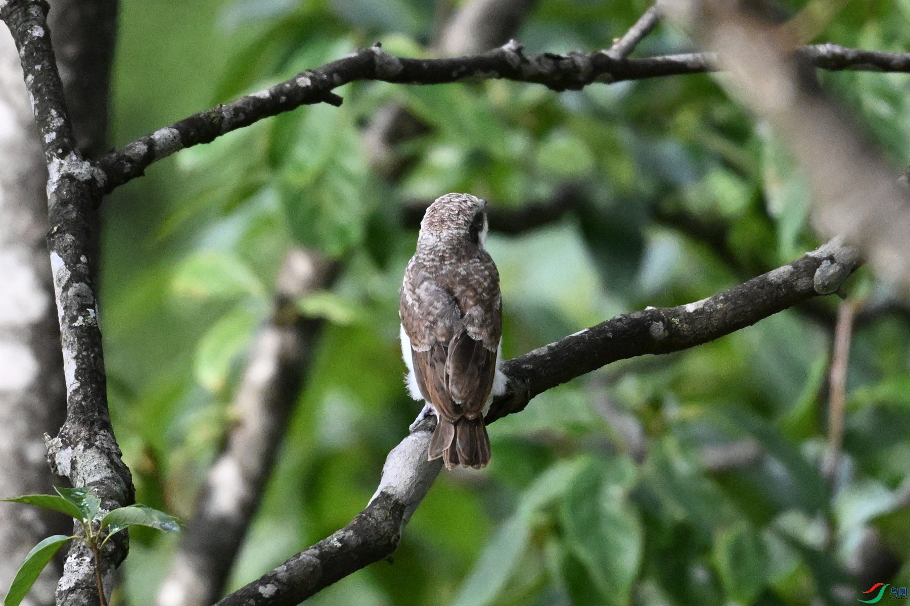 DSC_2069.JPG