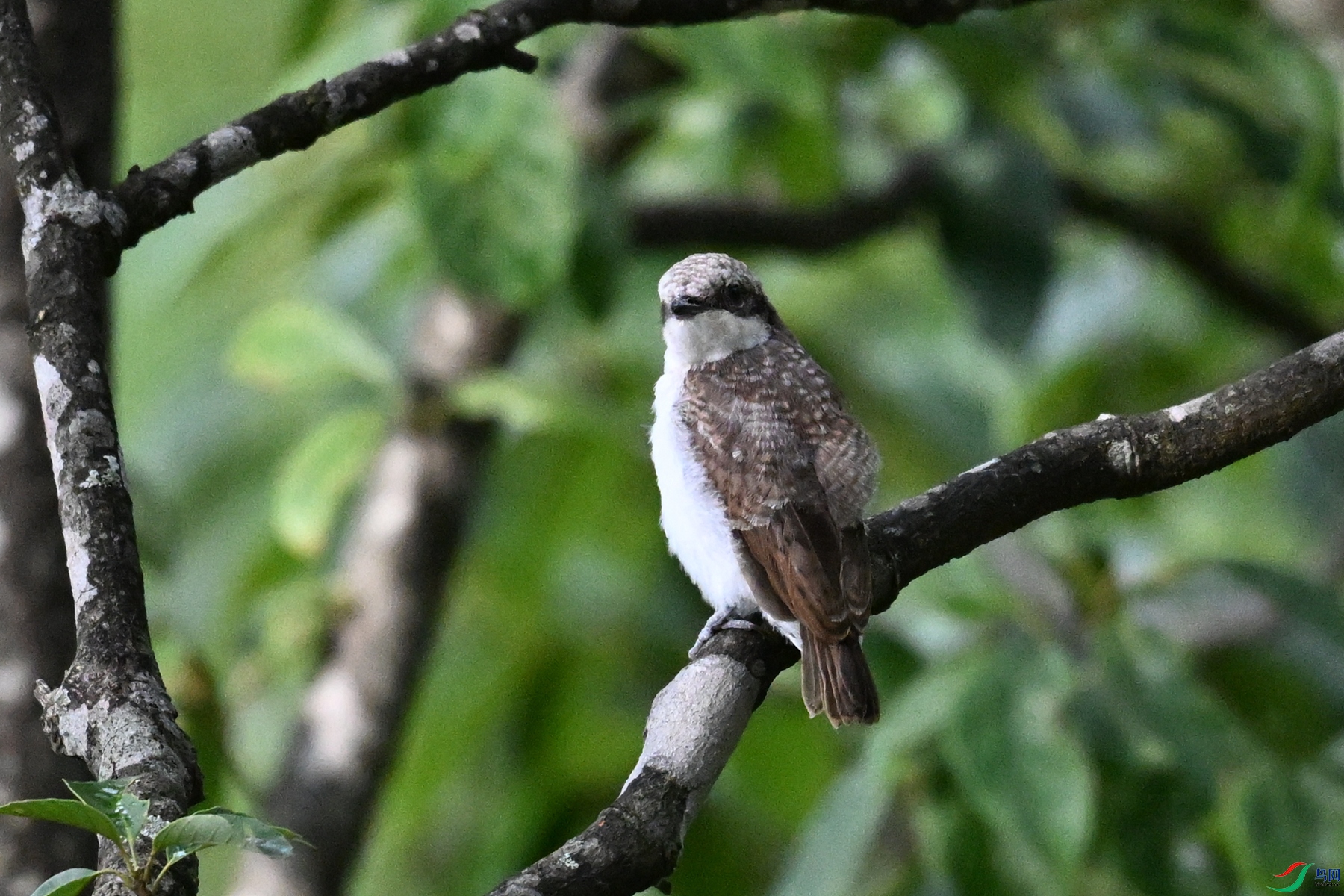 DSC_2073.JPG