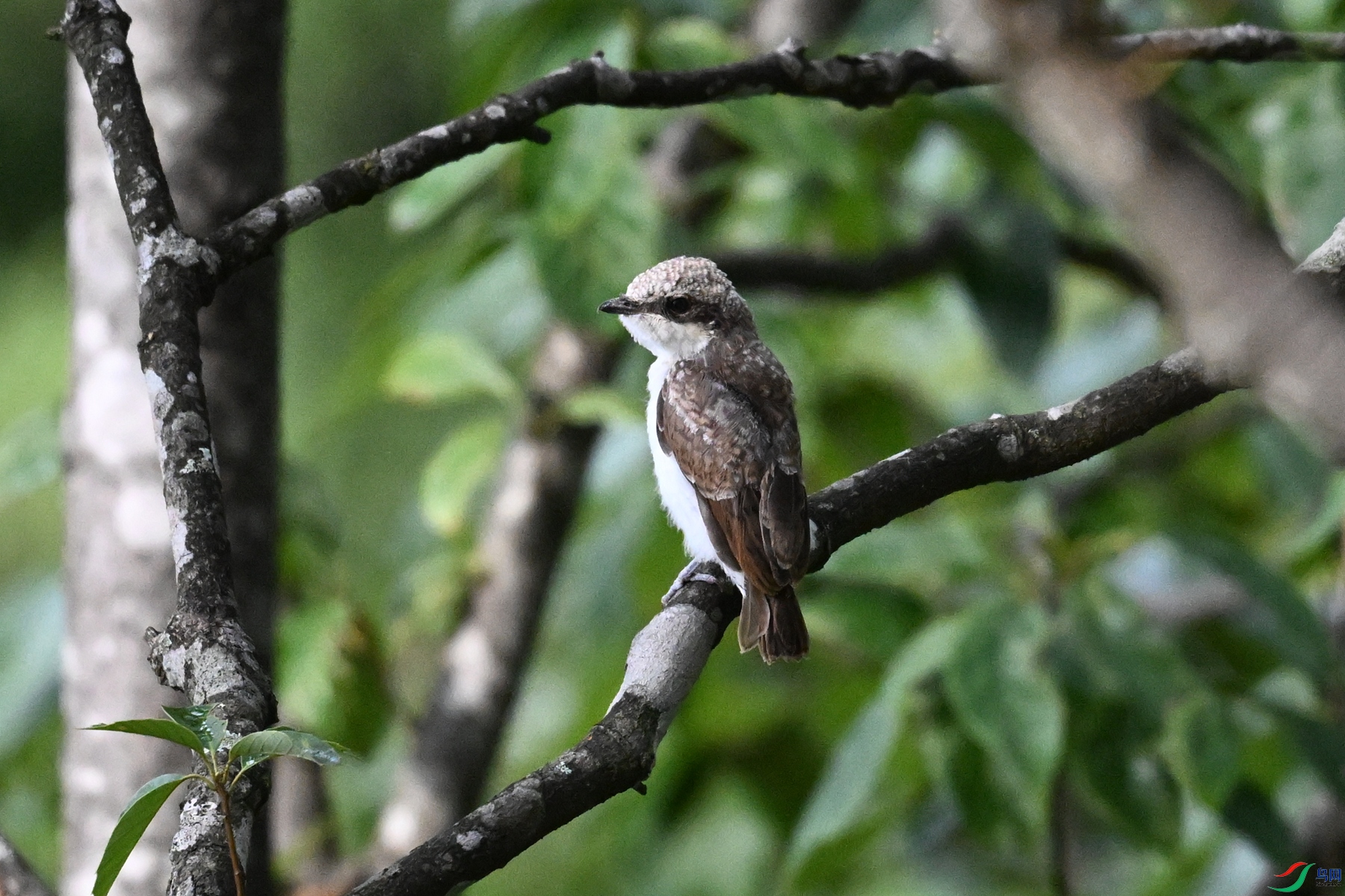 DSC_2065.JPG