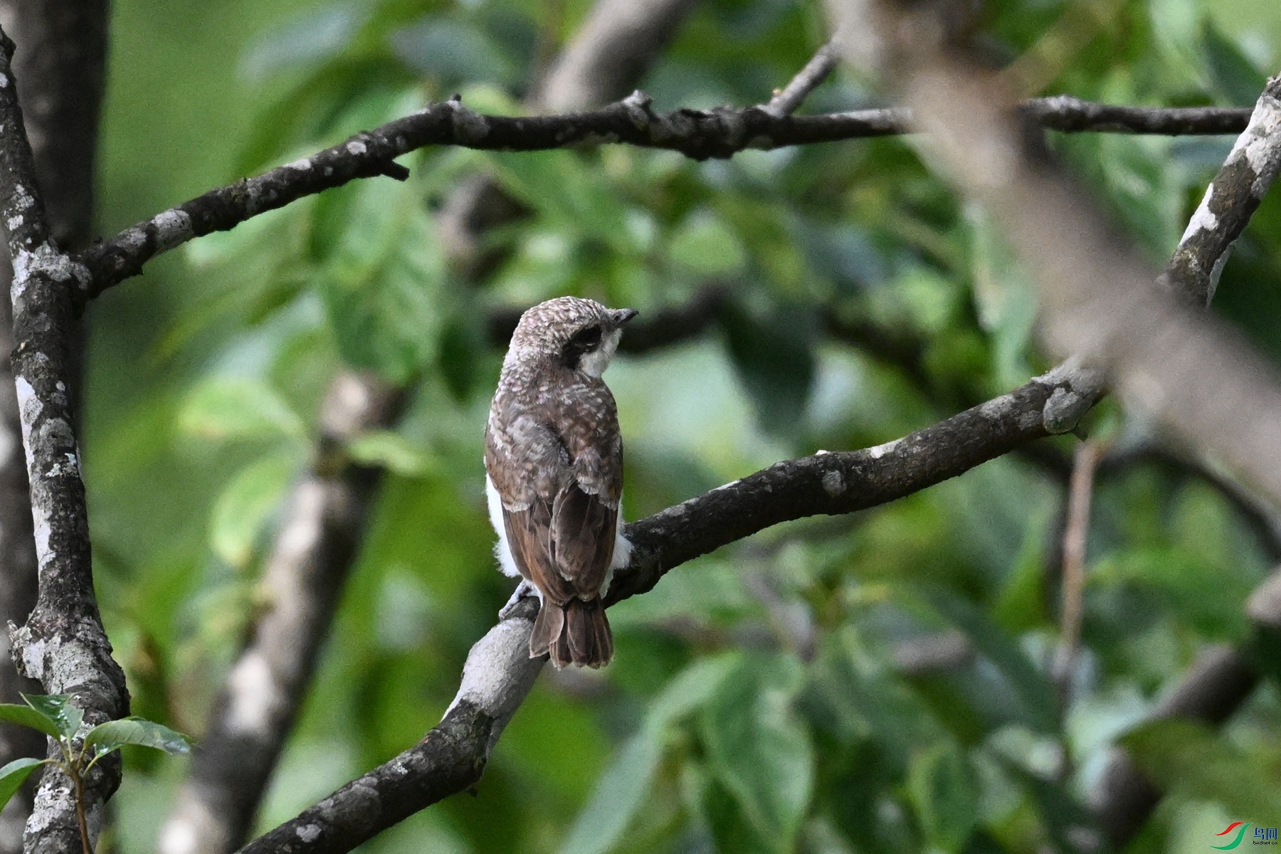 DSC_2067.JPG