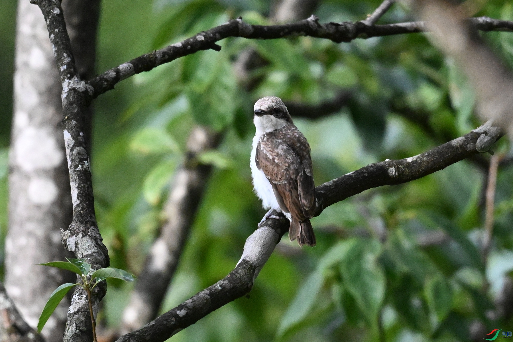 DSC_2070.JPG