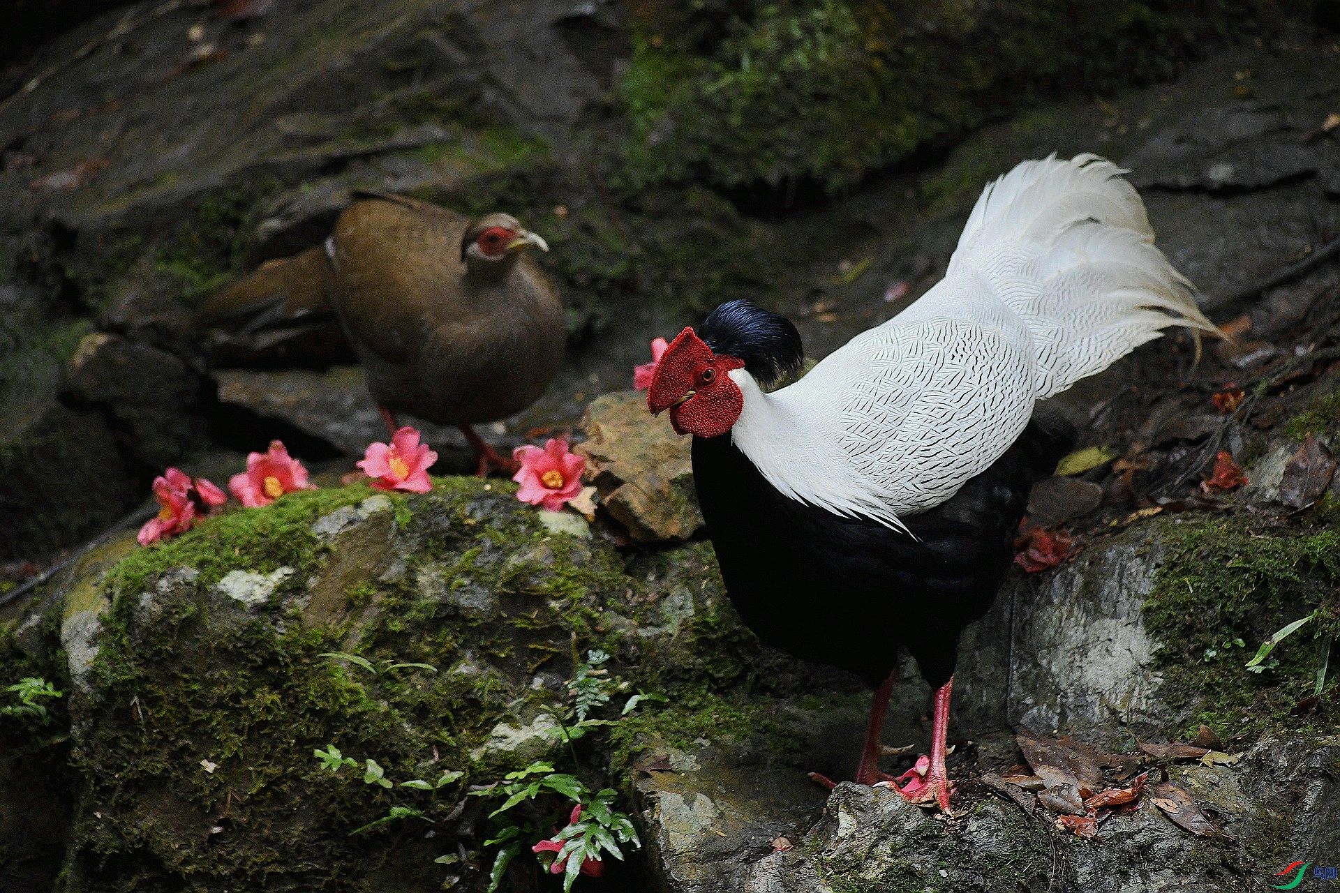 DSC_0273.jpg