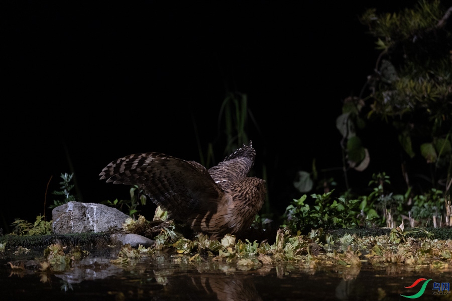 Z_1271.jpg