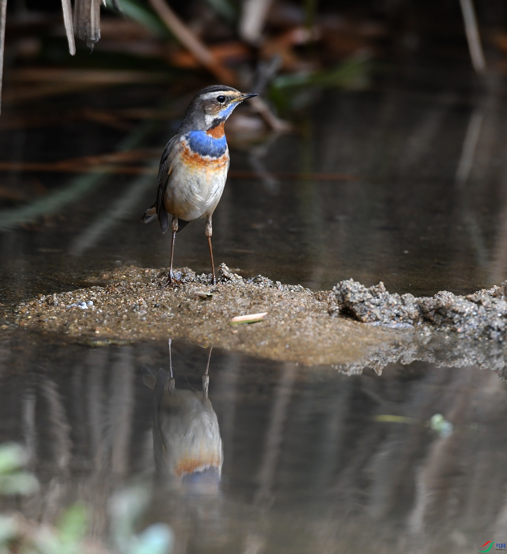 DSC_3080.jpg