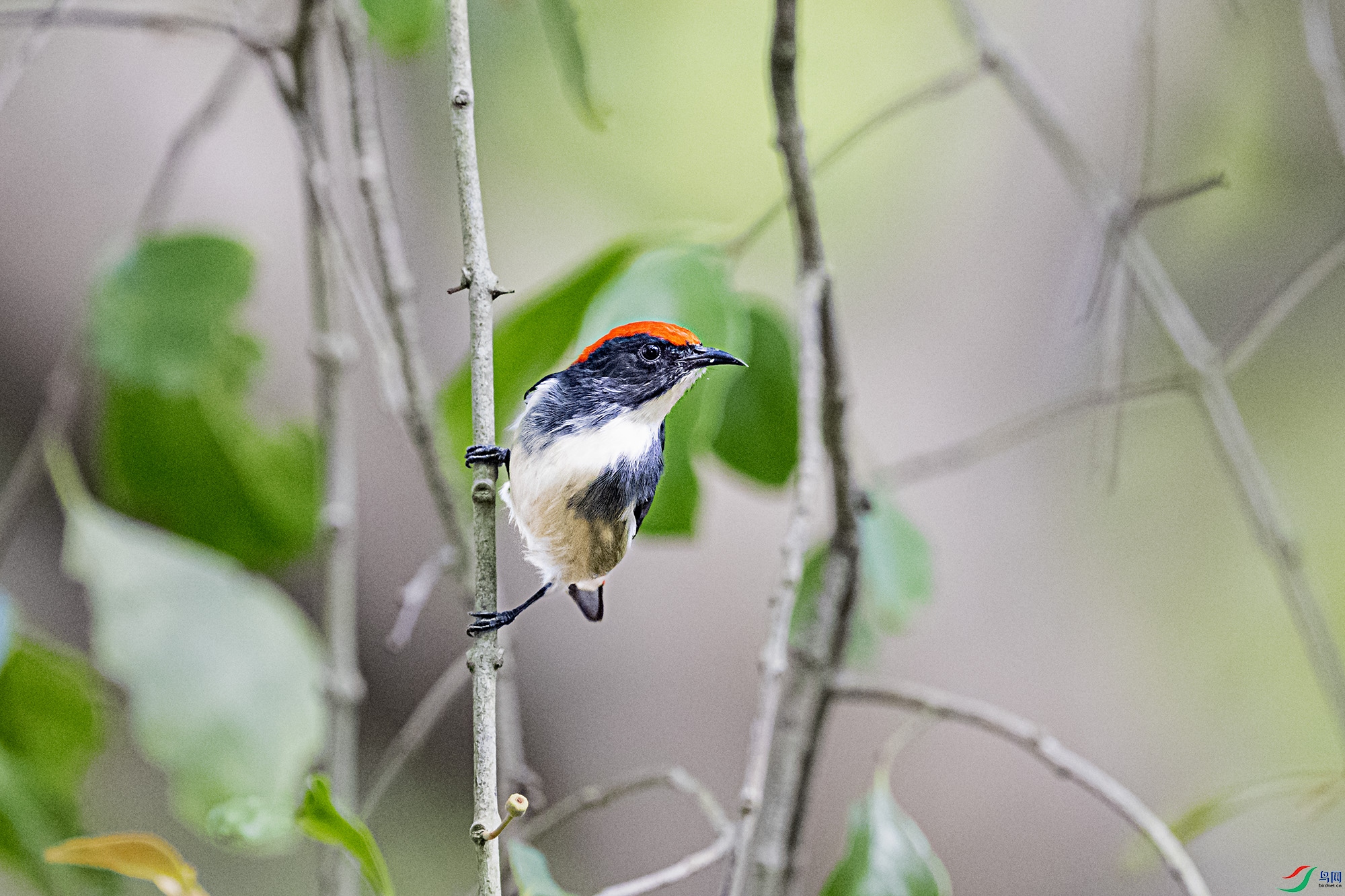 DSC_8334.jpg