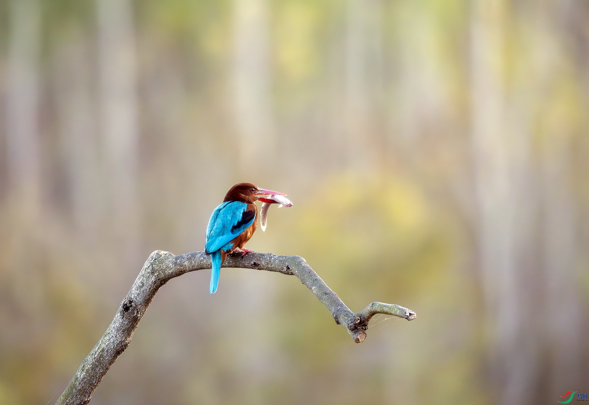 DSC07587-����ǿ-NR ���� 2.jpg