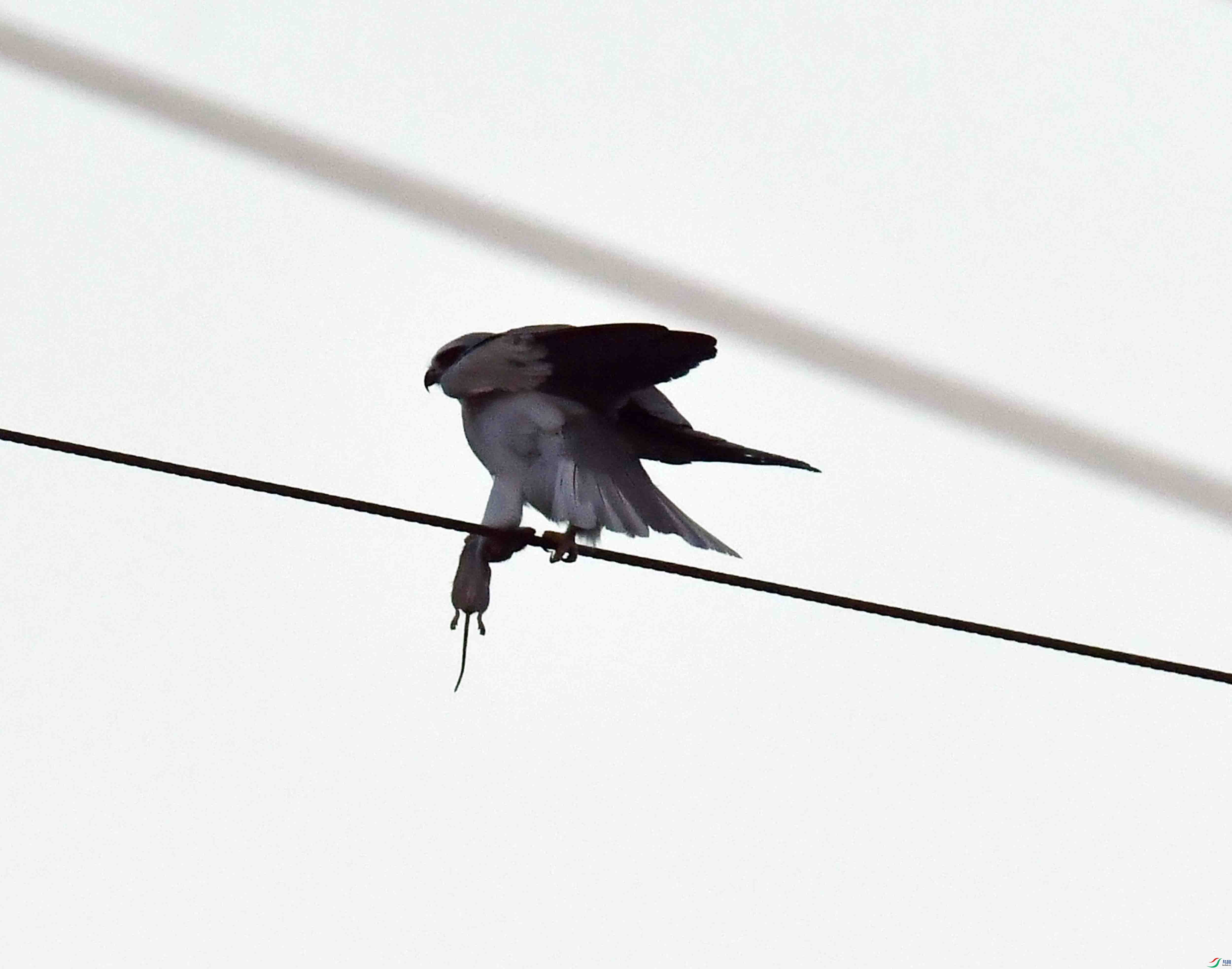 DSC_2049.JPG