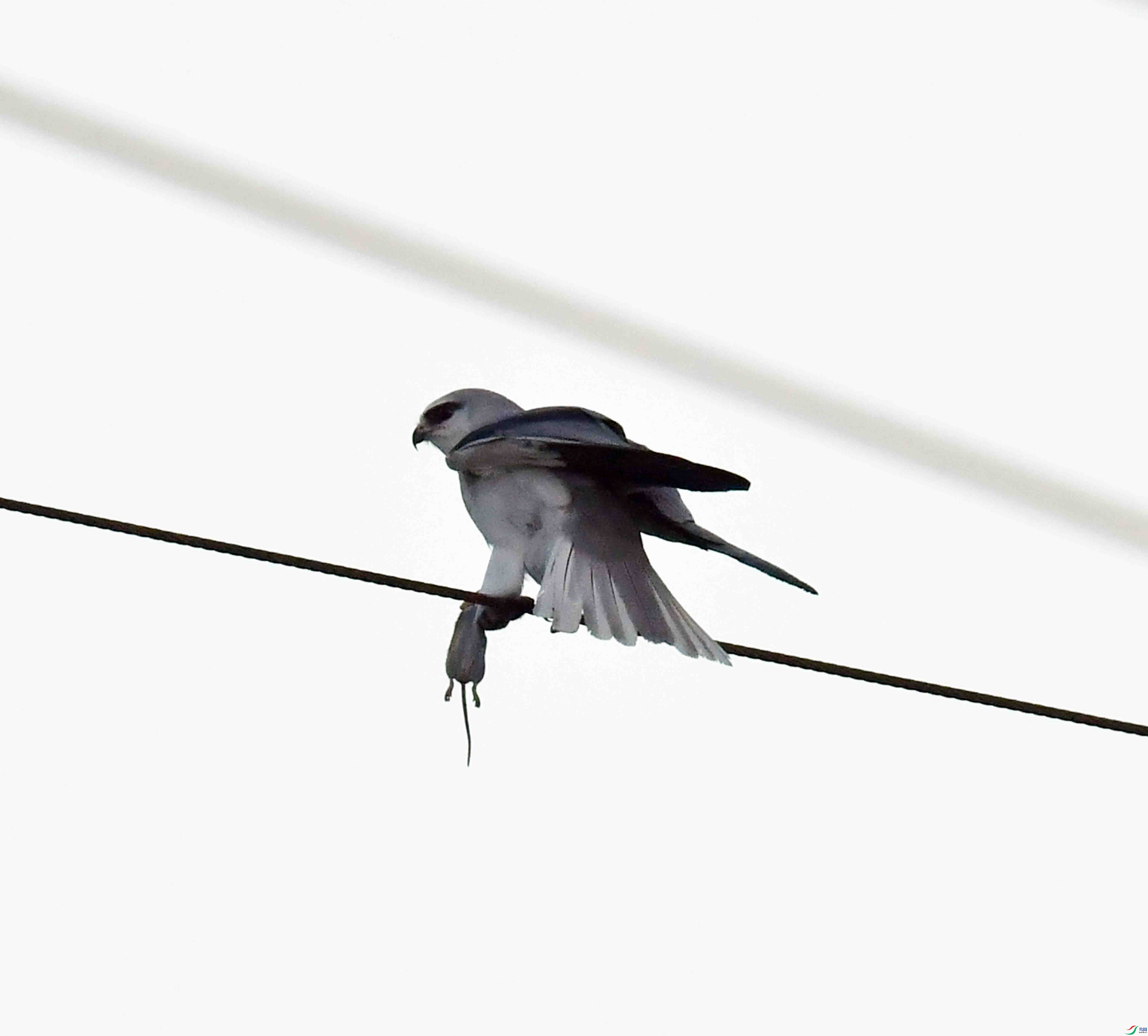DSC_2050.JPG