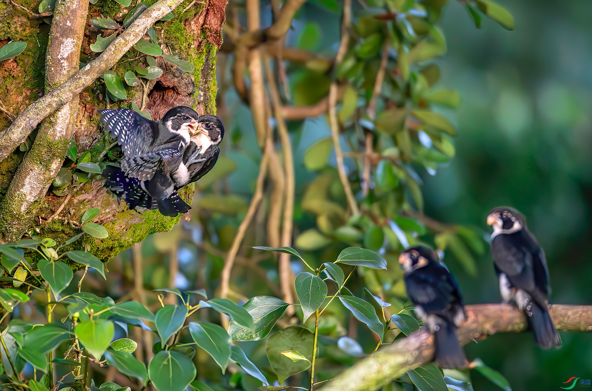 _S7I6077----333   .jpg