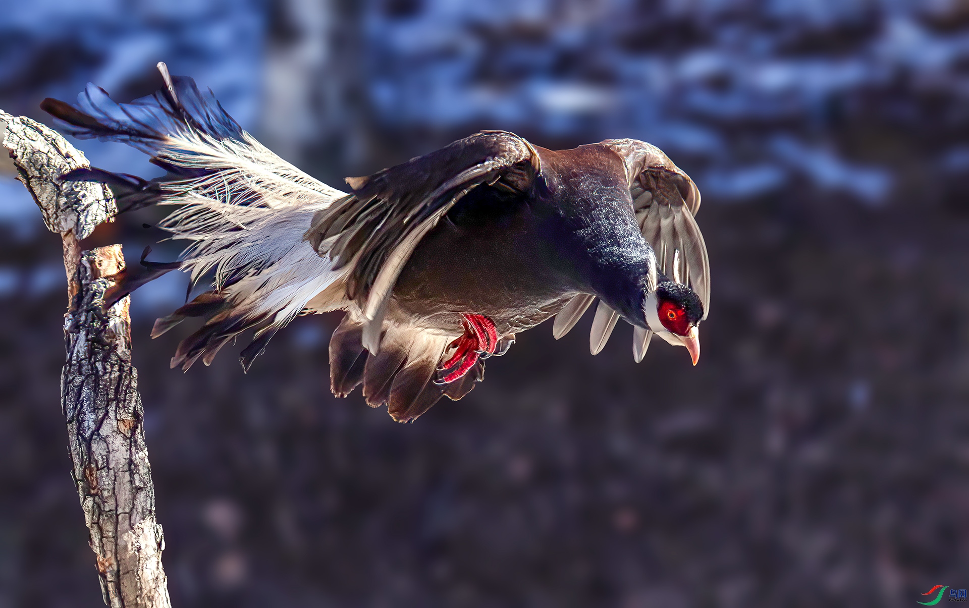 _07A1044 ����-Sh---1 .jpg