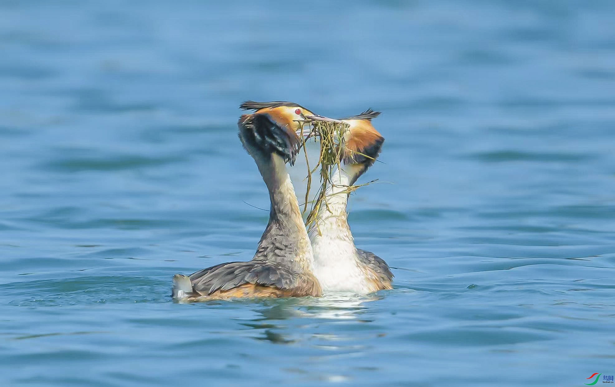 ��1 ����.jpg