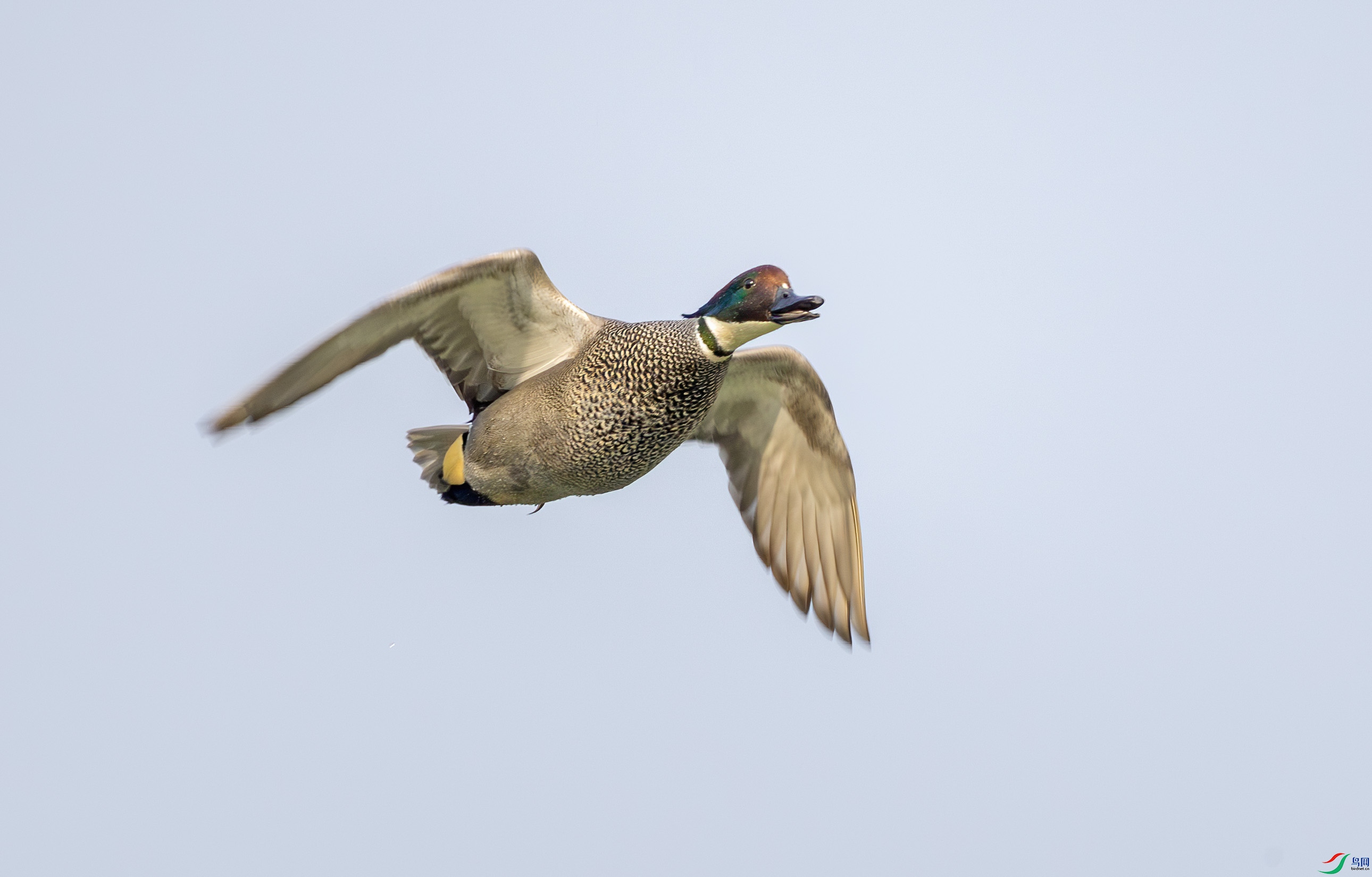 G47A6047-����ǿ-NR ����.jpg