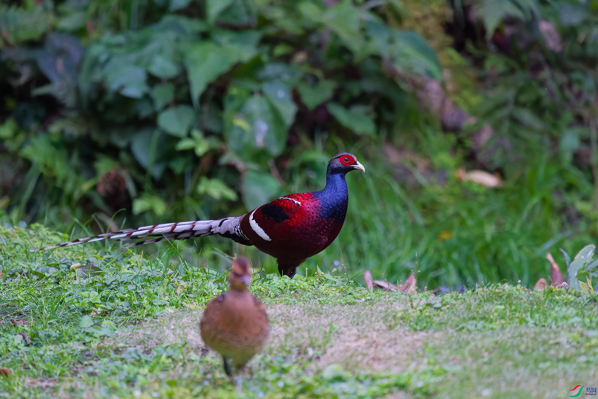 DSC_8955_DxO_DxOa.jpg