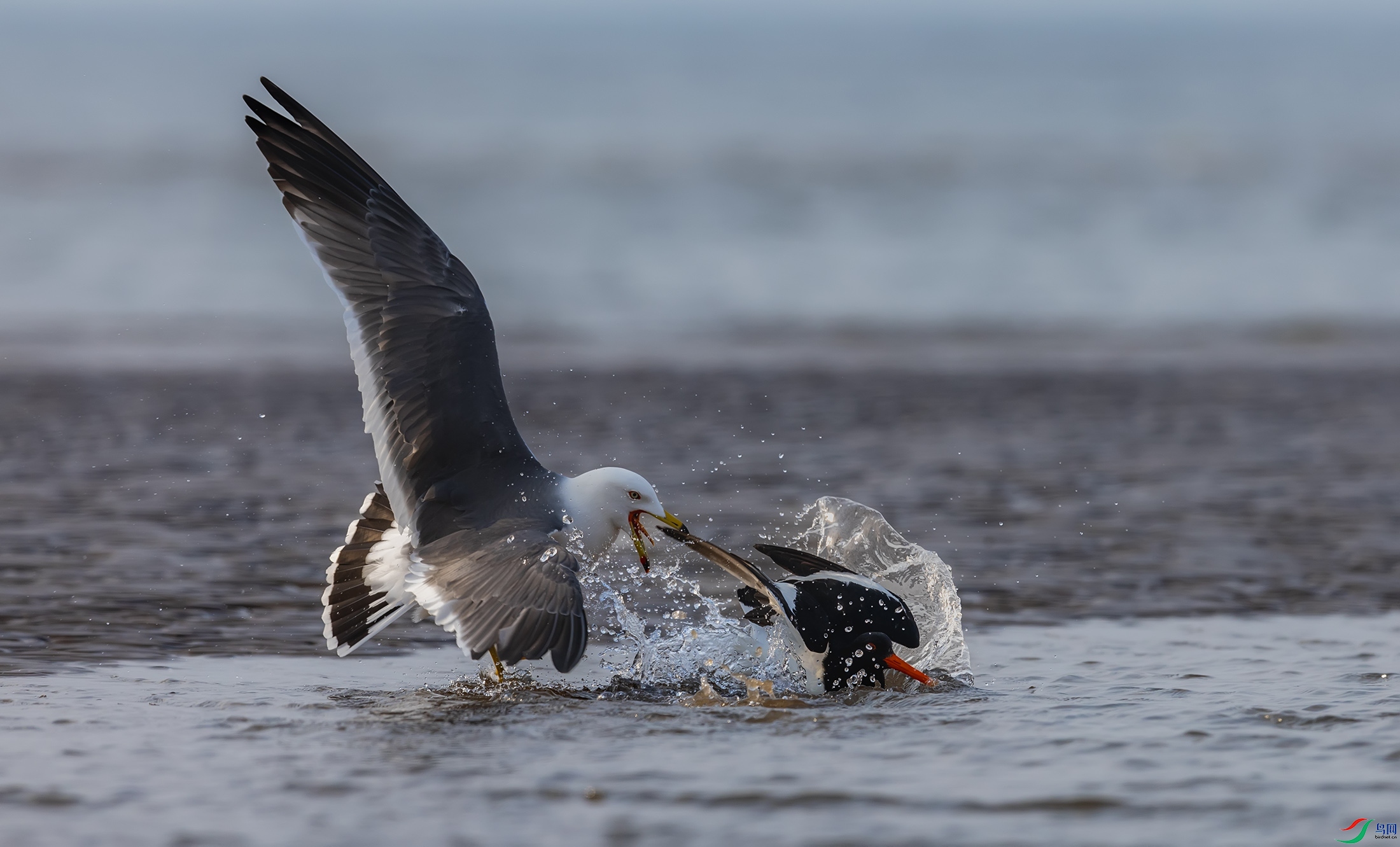 ��βŸ������