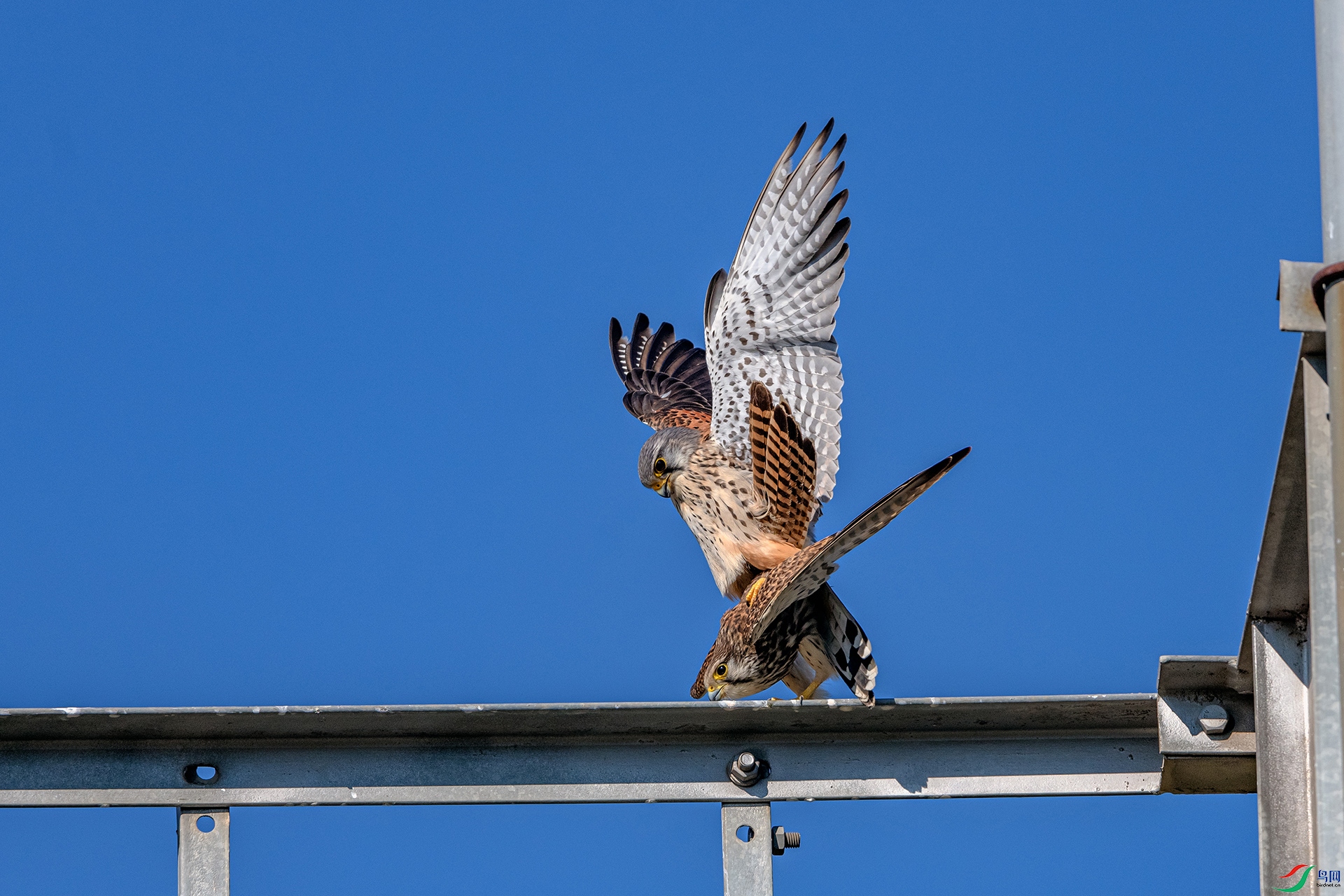 _AUU7833 ��֮��(26.2.12).jpg