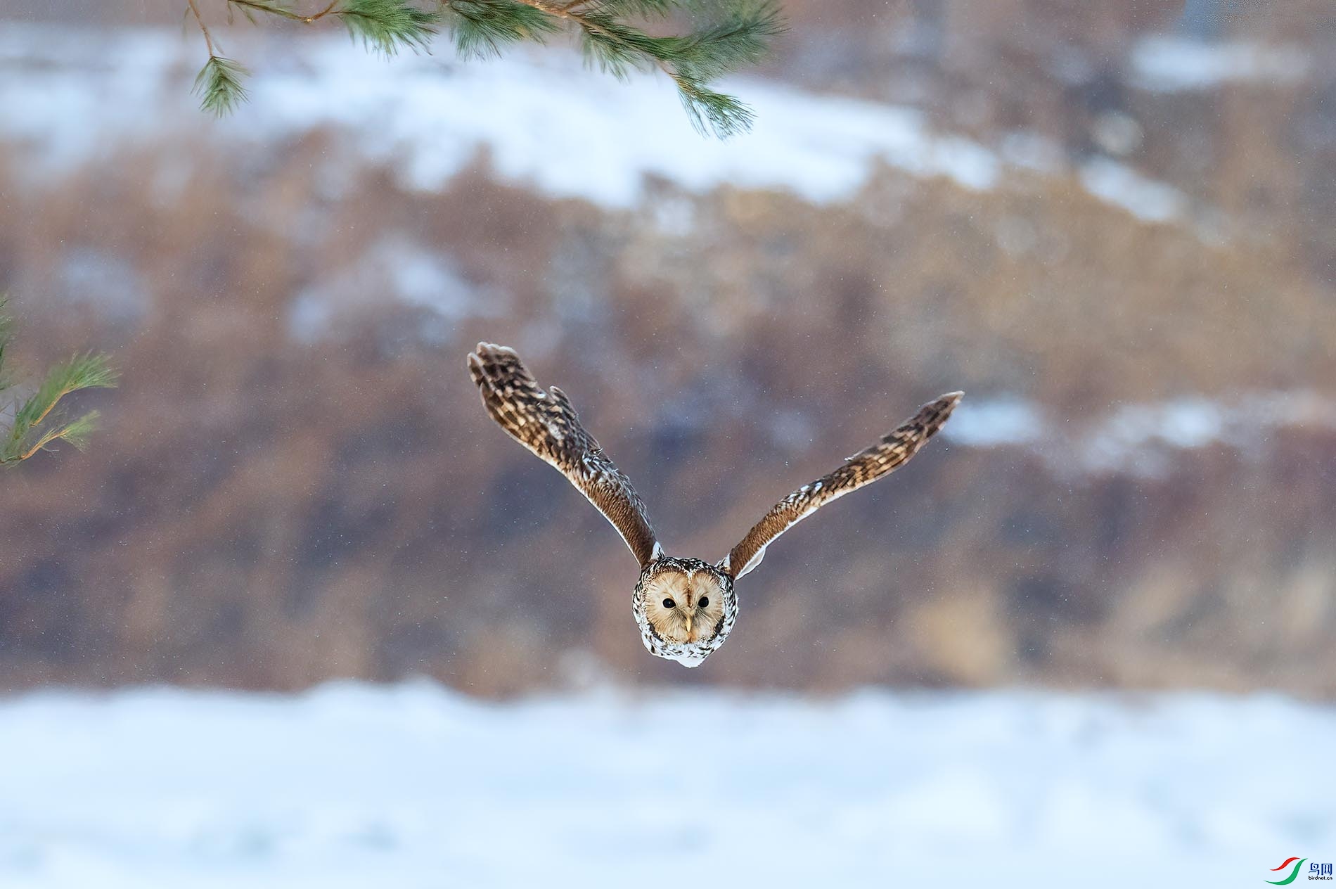 _DSC1797 ����.jpg