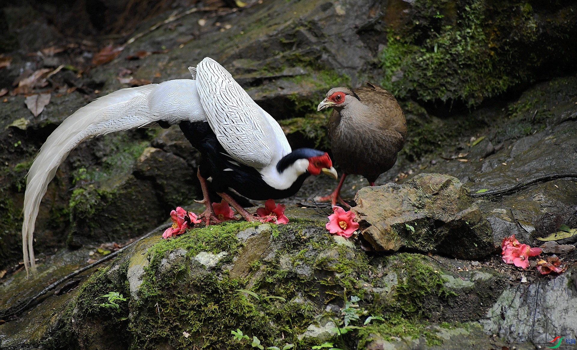 DSC_0321.jpg