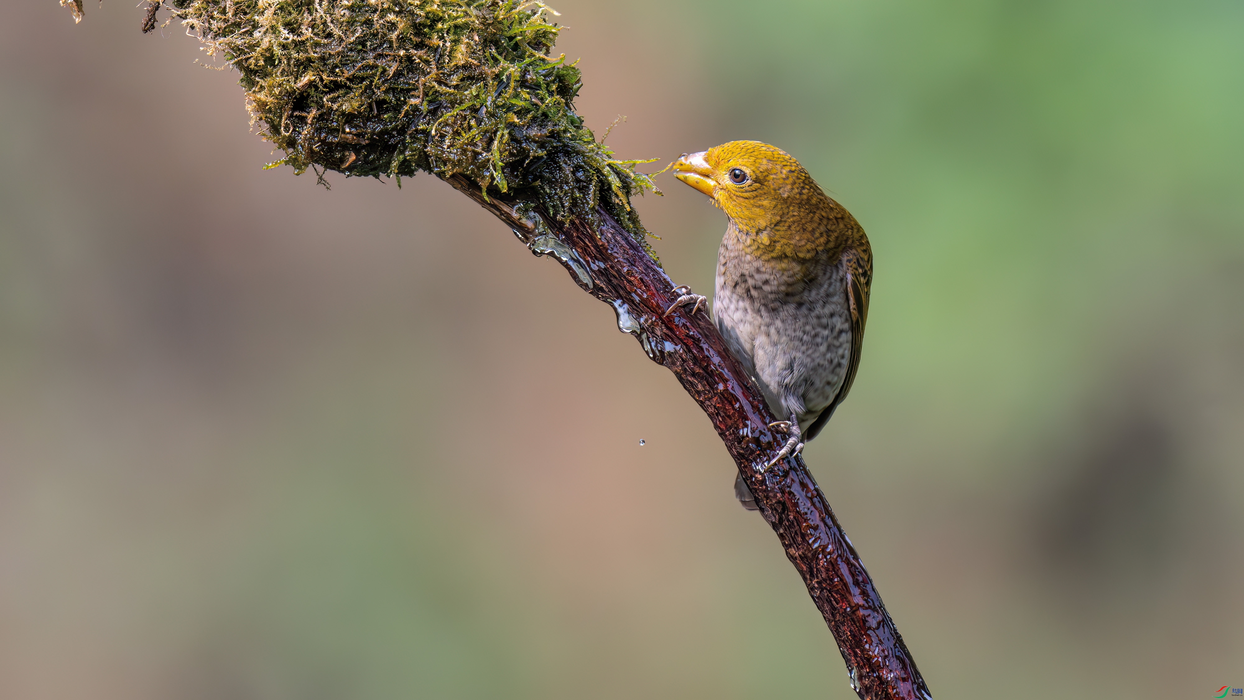 DSC_8620.jpg