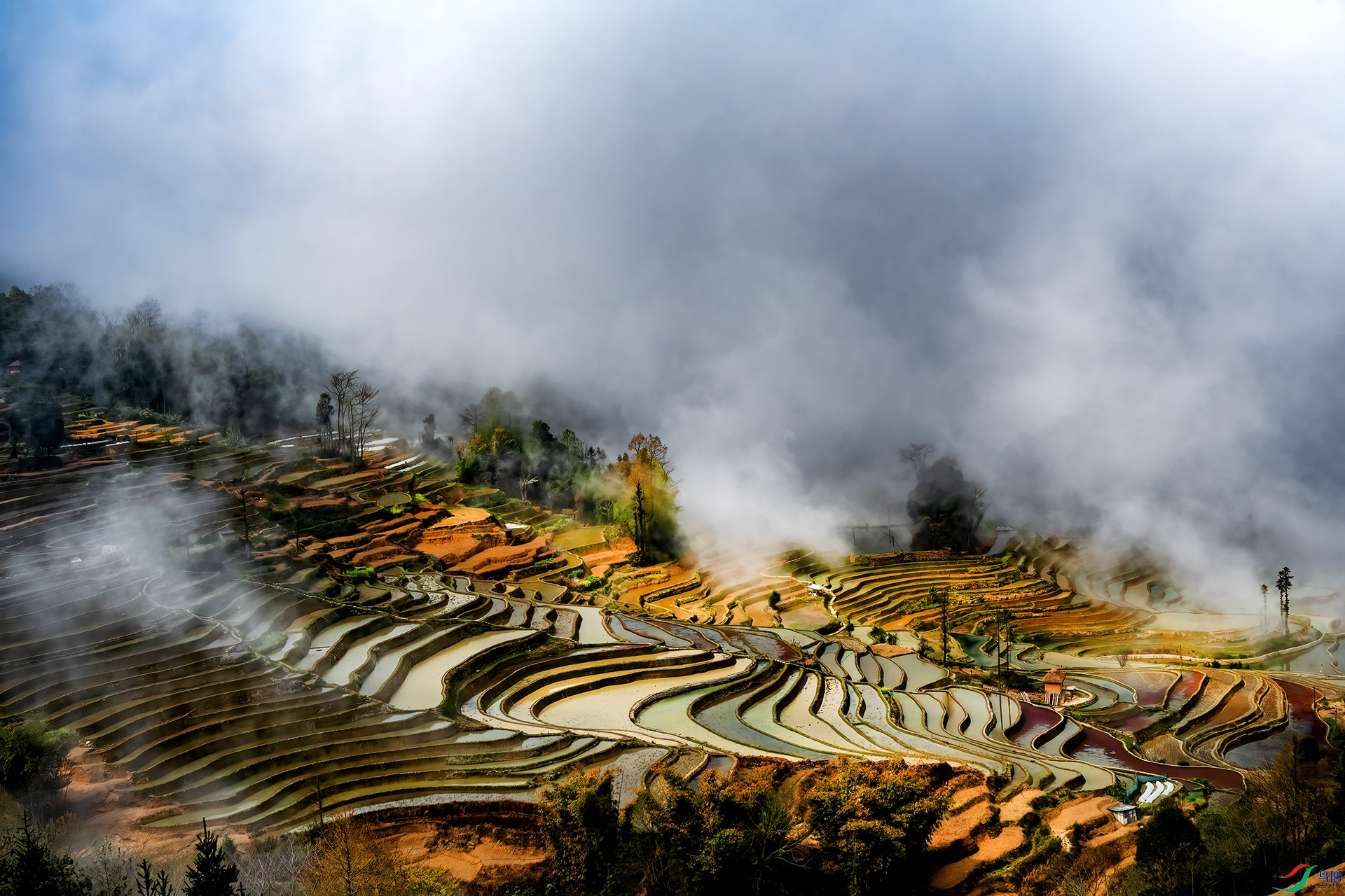 DSC_1426- �������� - AAA.jpg