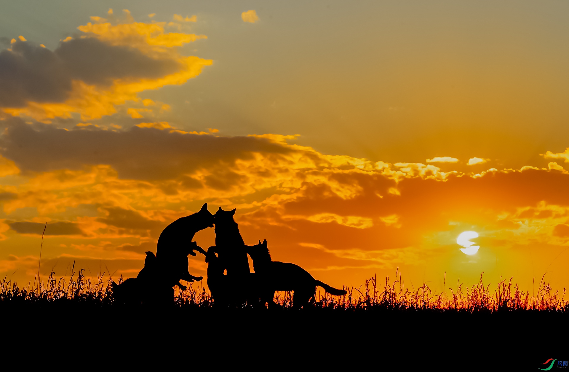 _K8I5146  Ϧ��˽�� 04.jpg