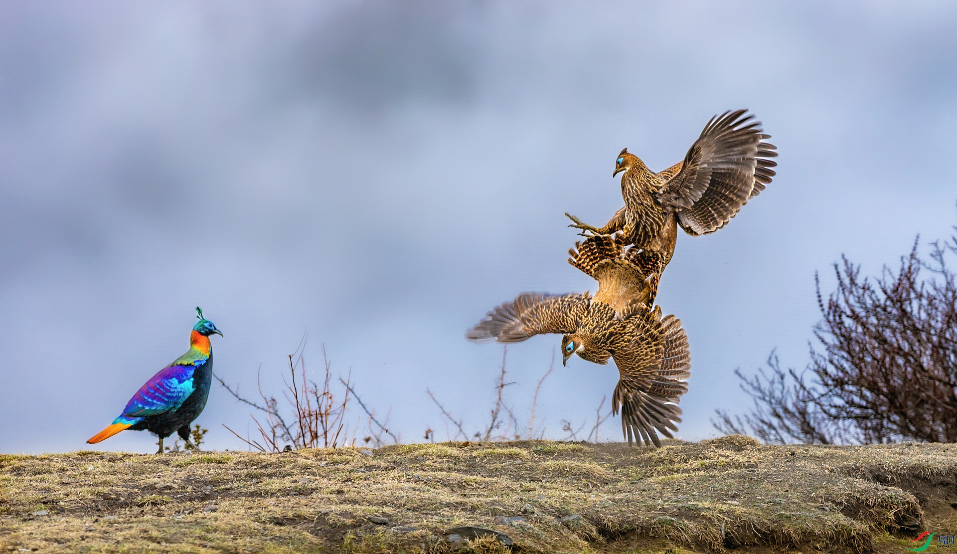 ��β���� ����.jpg