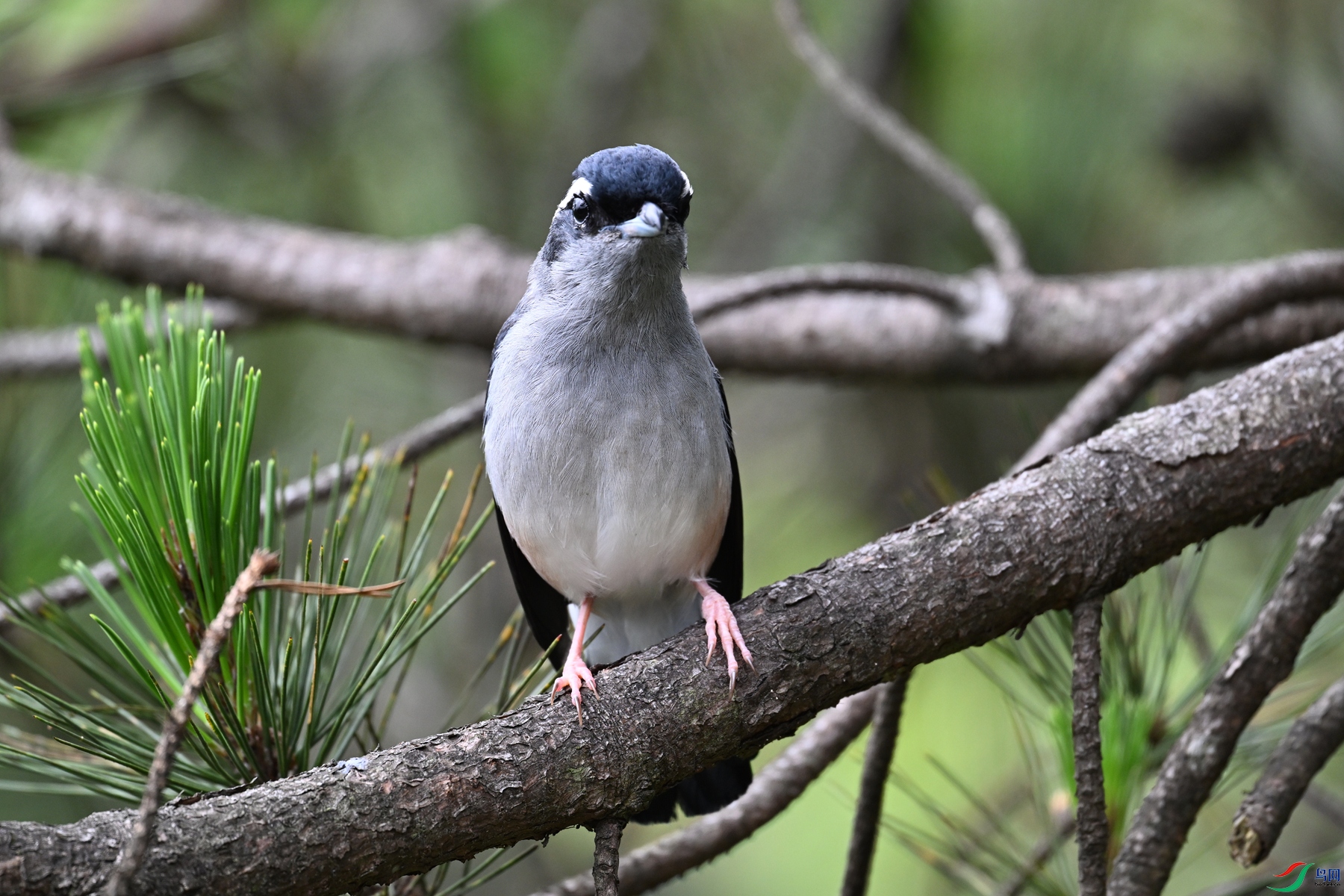 DSC_1114.JPG