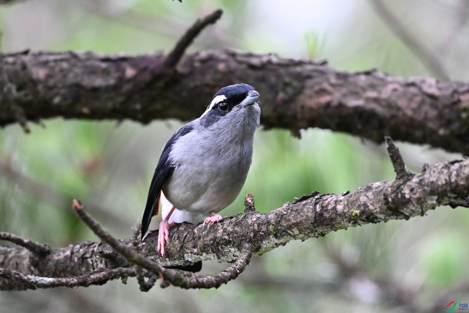 DSC_1069.JPG