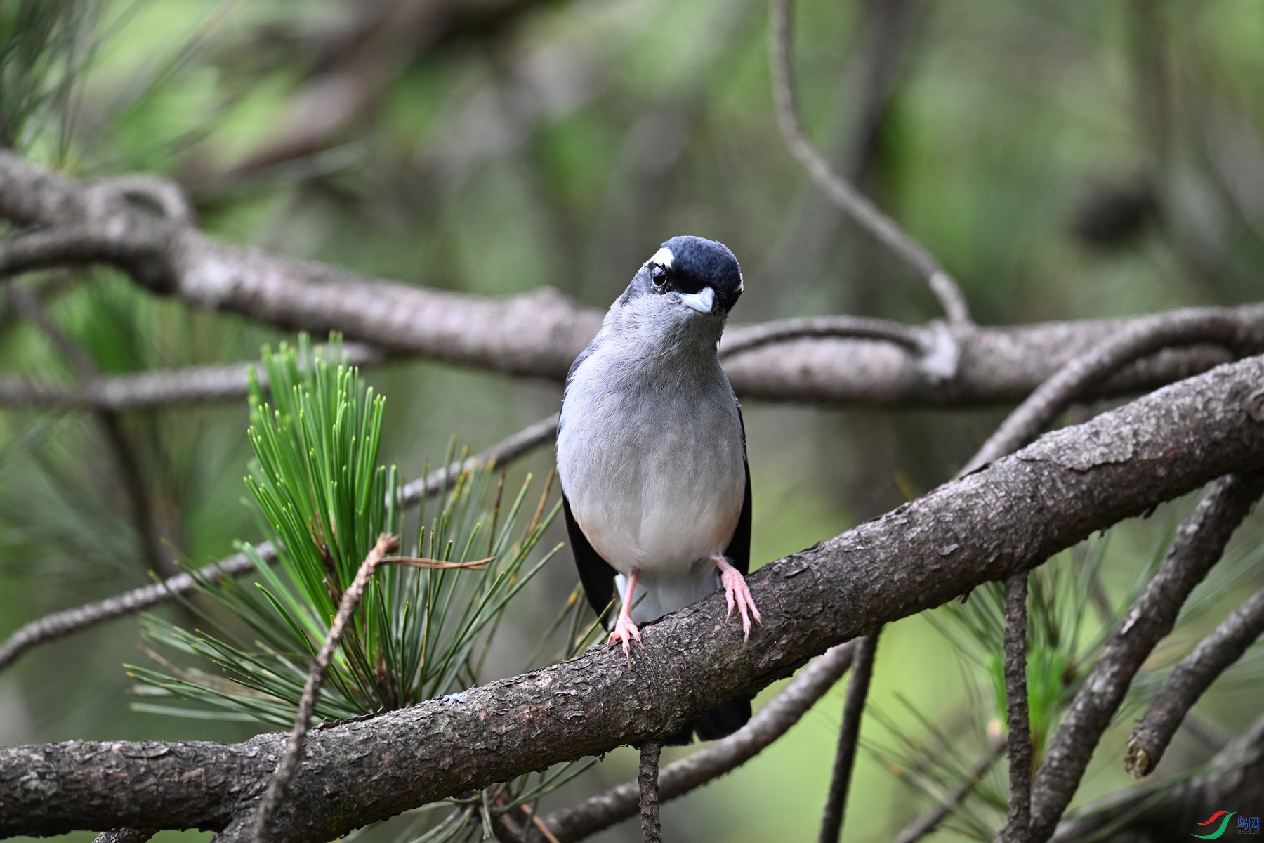 DSC_1117.JPG