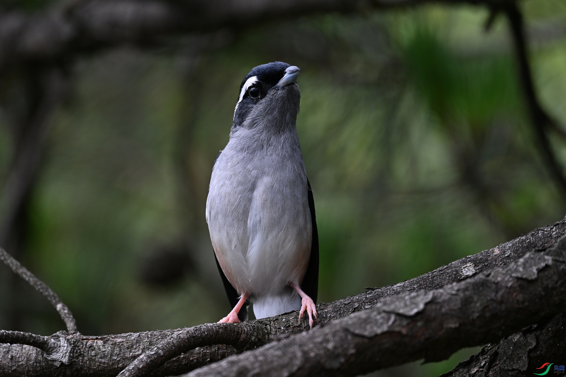 DSC_1091.JPG