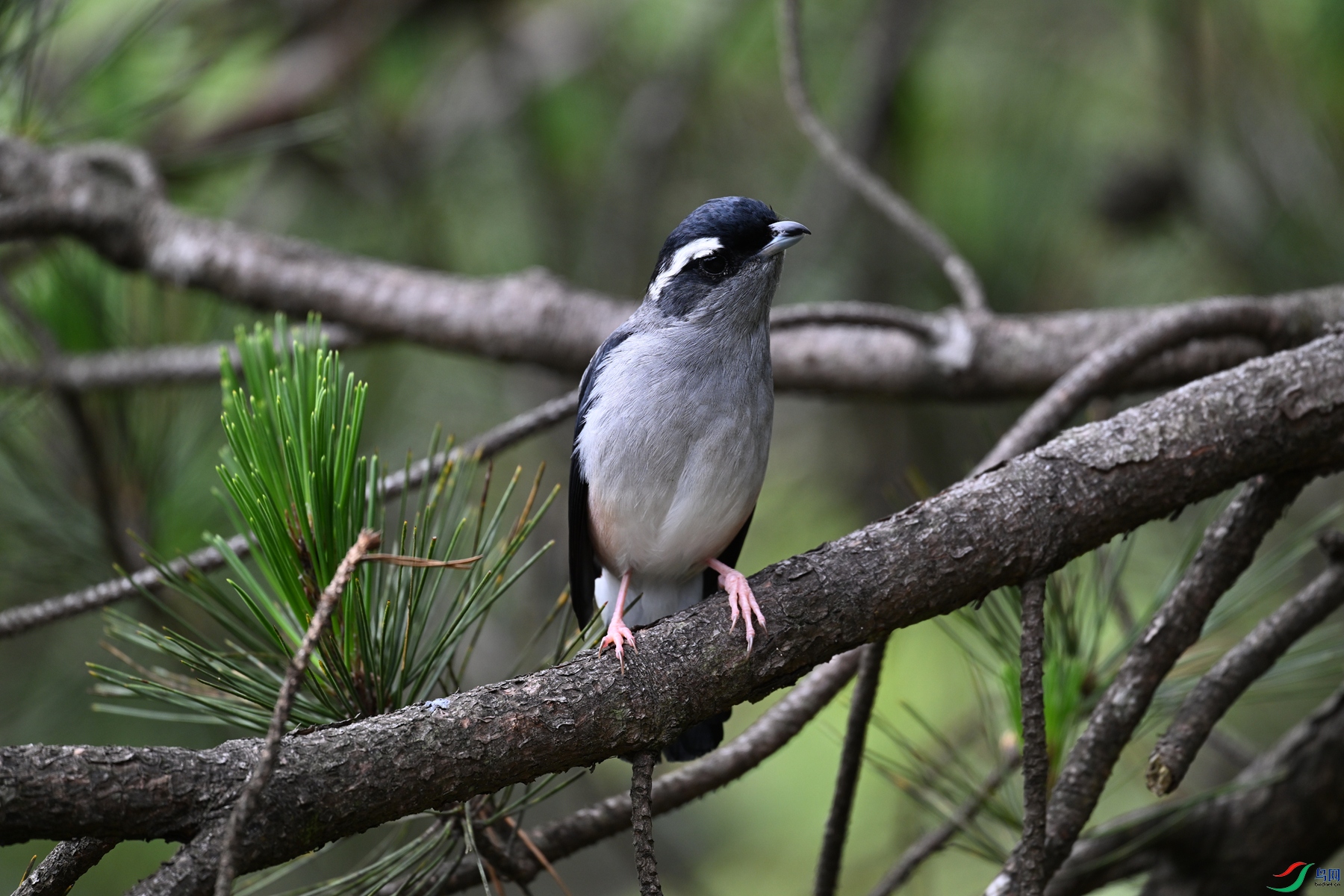 DSC_1127.JPG
