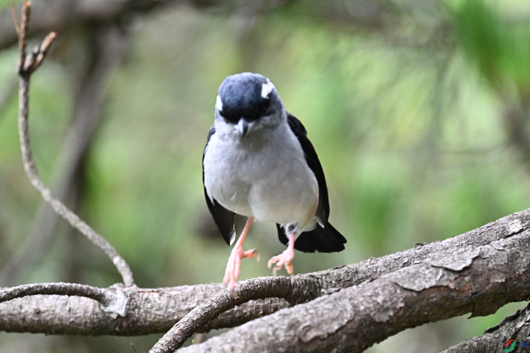 DSC_1106.JPG