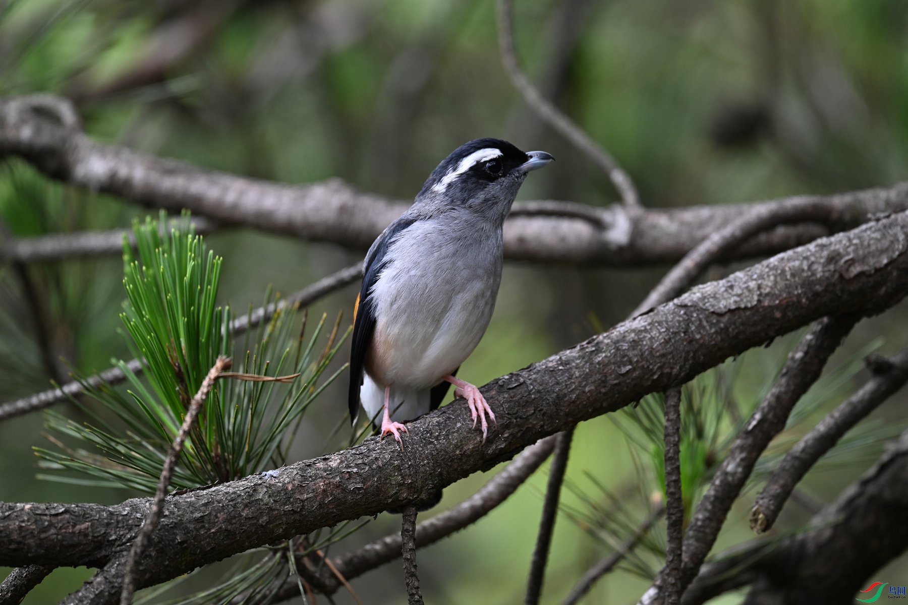 DSC_1137.JPG