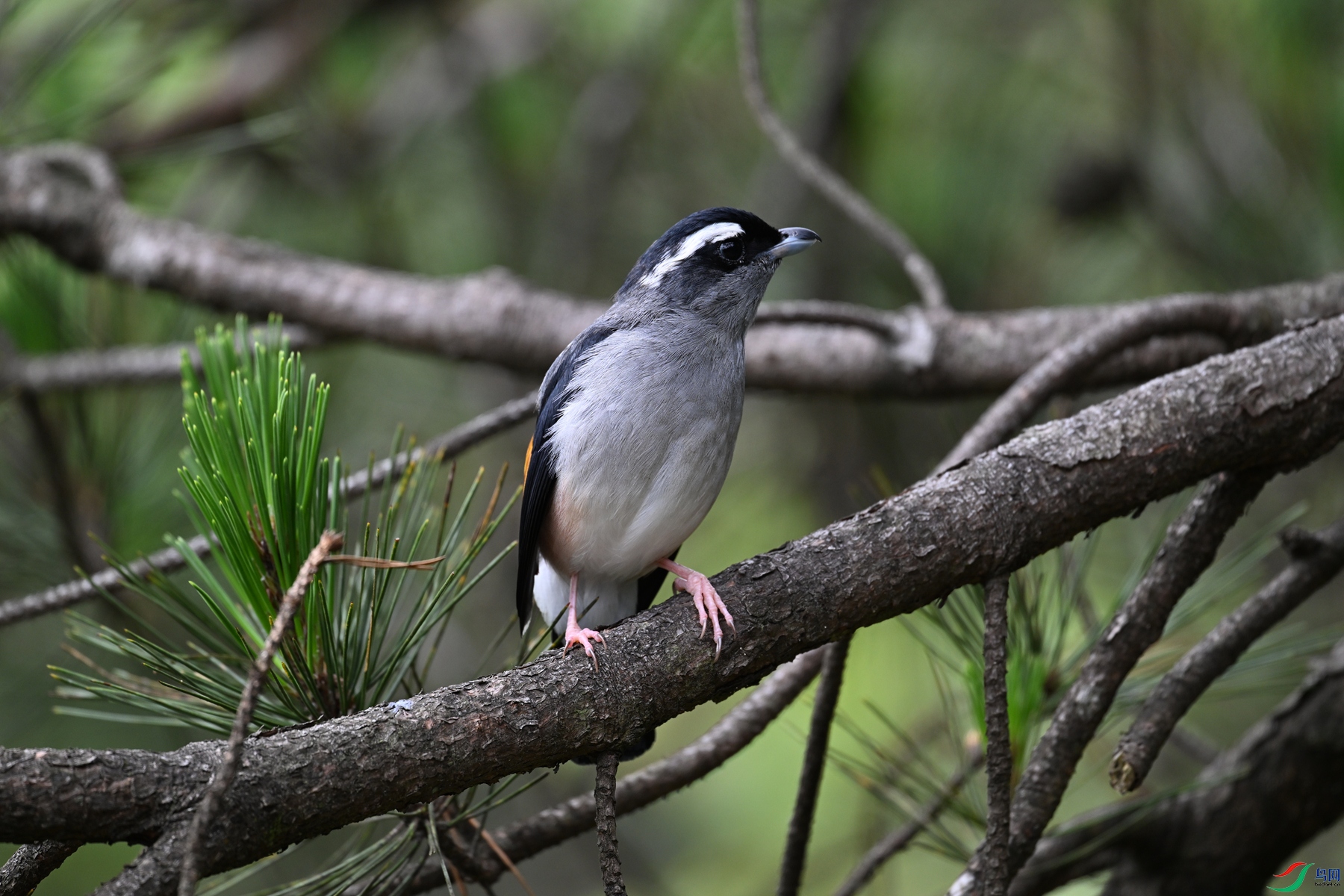 DSC_1139.JPG