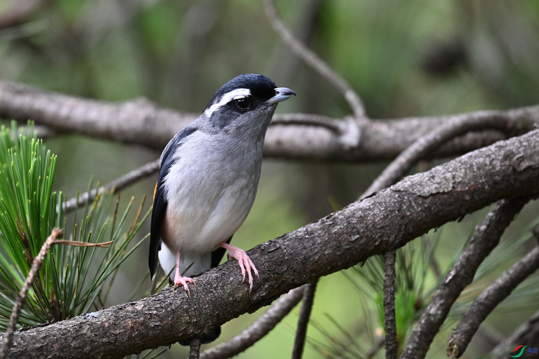 DSC_1140.JPG