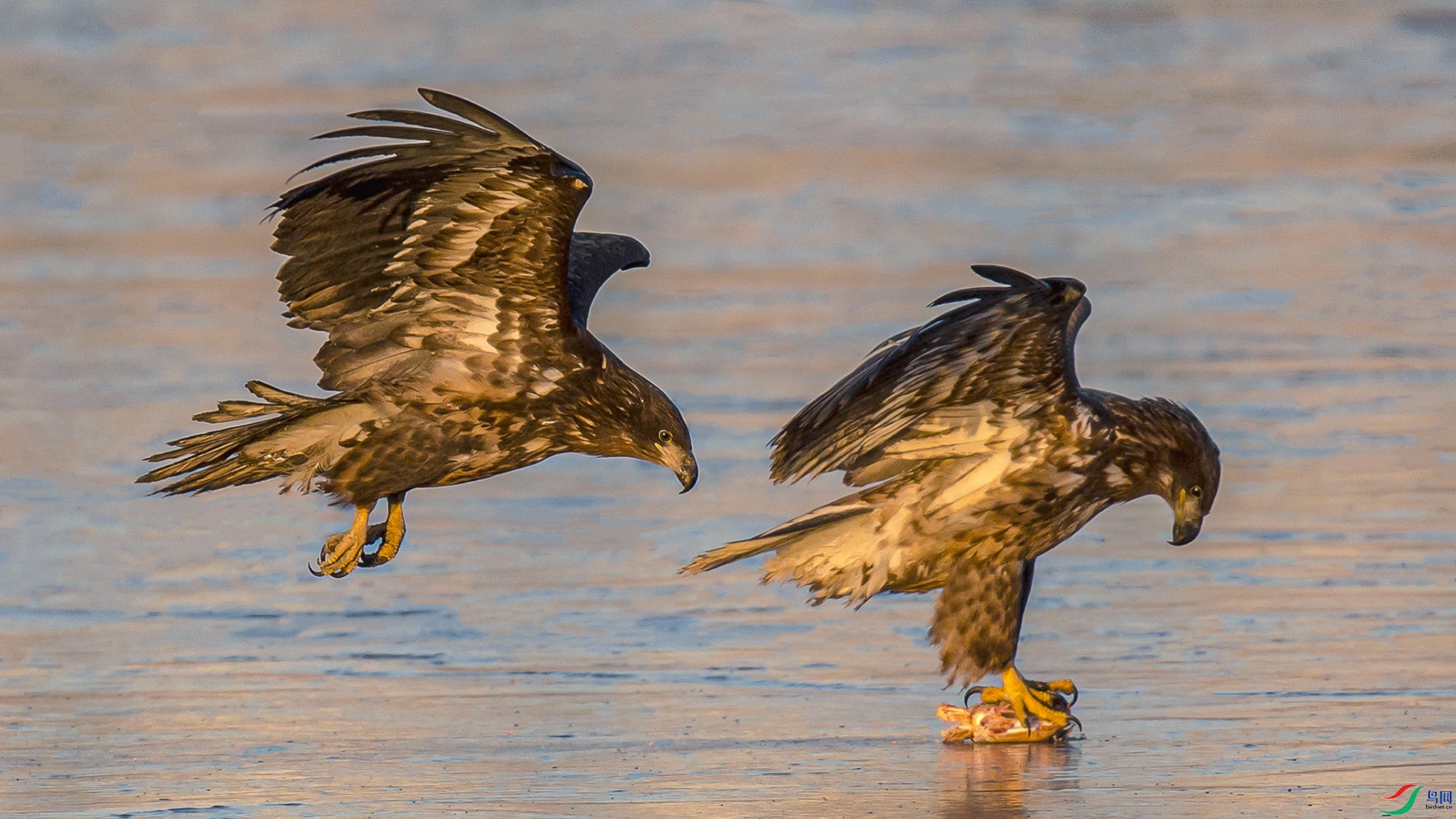 _MG_1234 ����.jpg