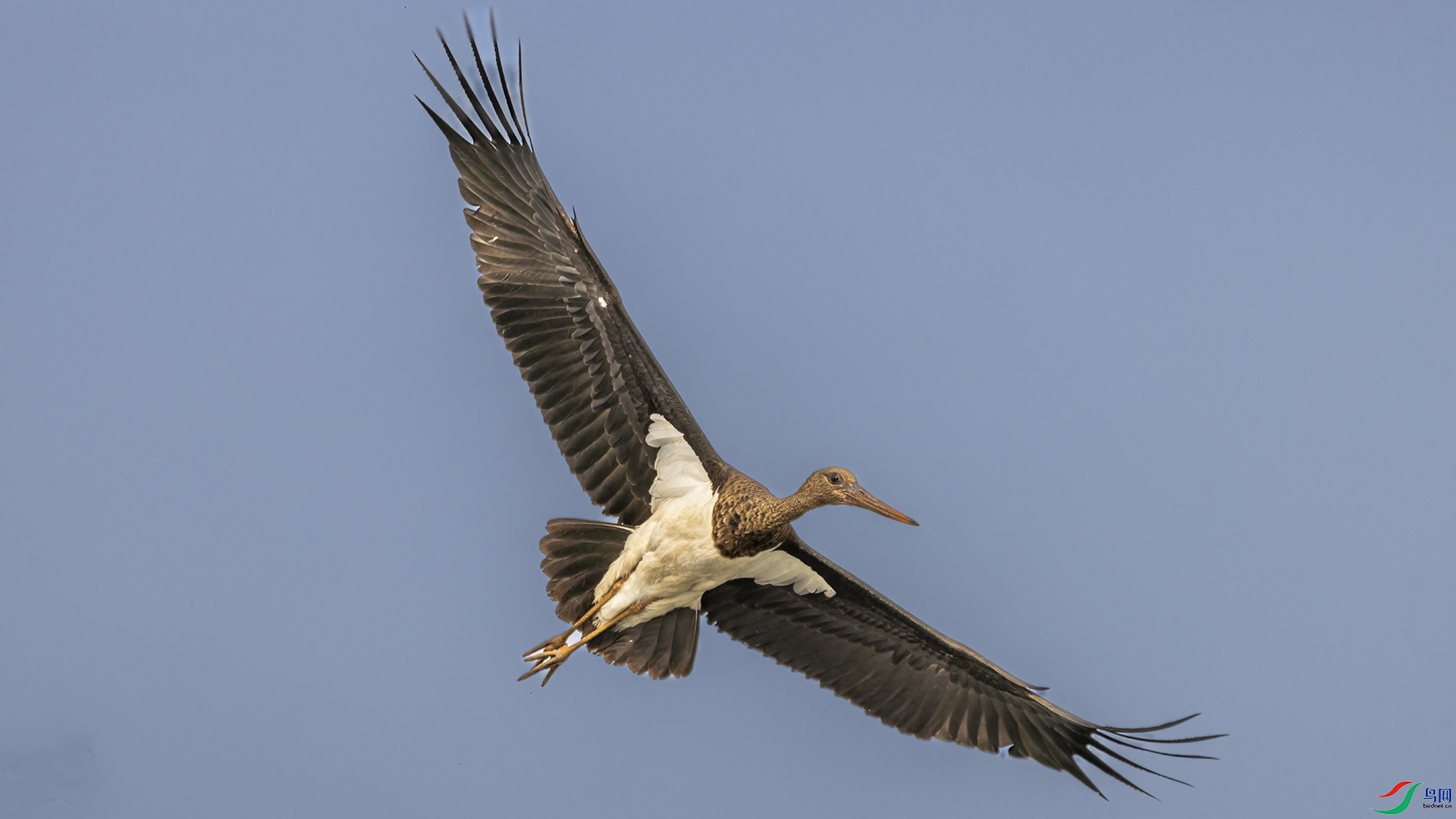 708A1755 ���� 2.jpg