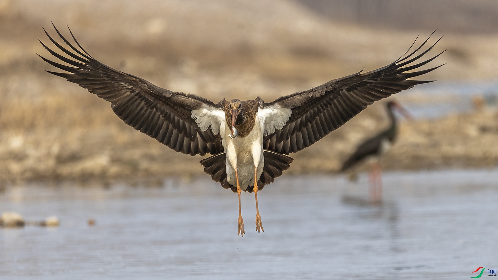 708A1759 ���� 2.jpg