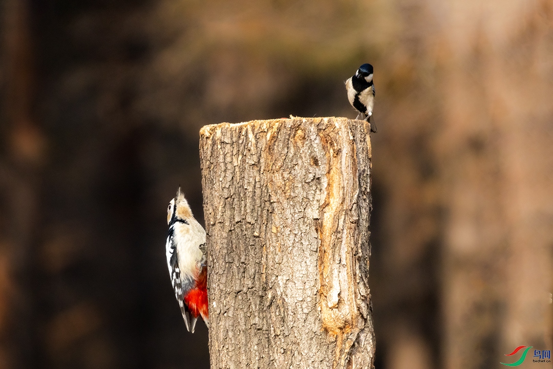 20260221 (100) ����.jpg