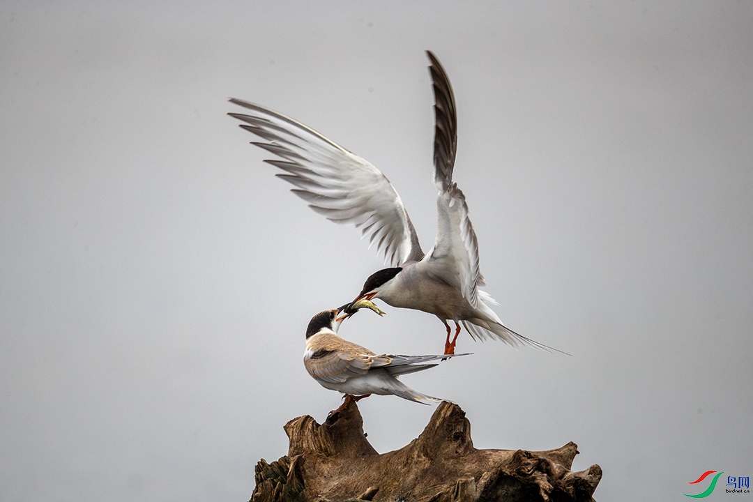 BN5I2180 ����.jpg