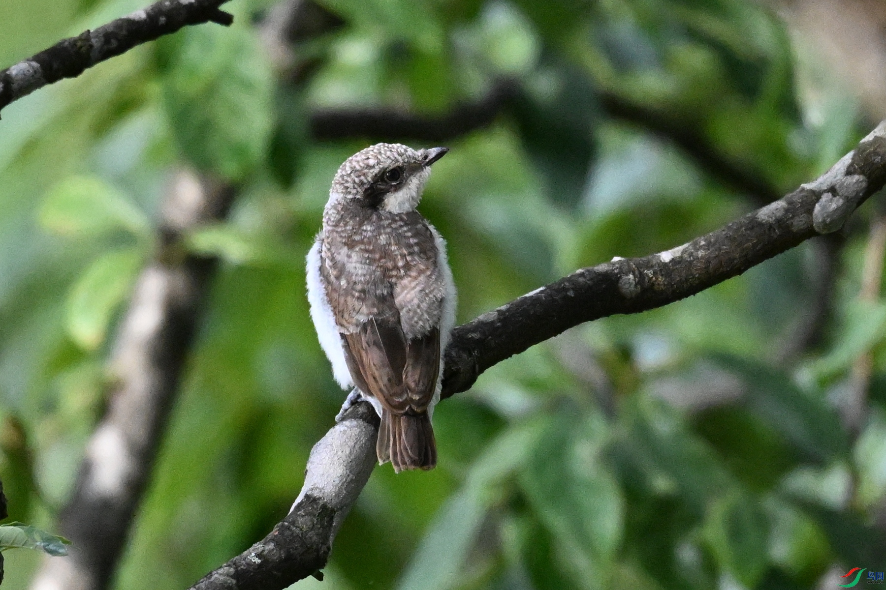 DSC_2076.JPG