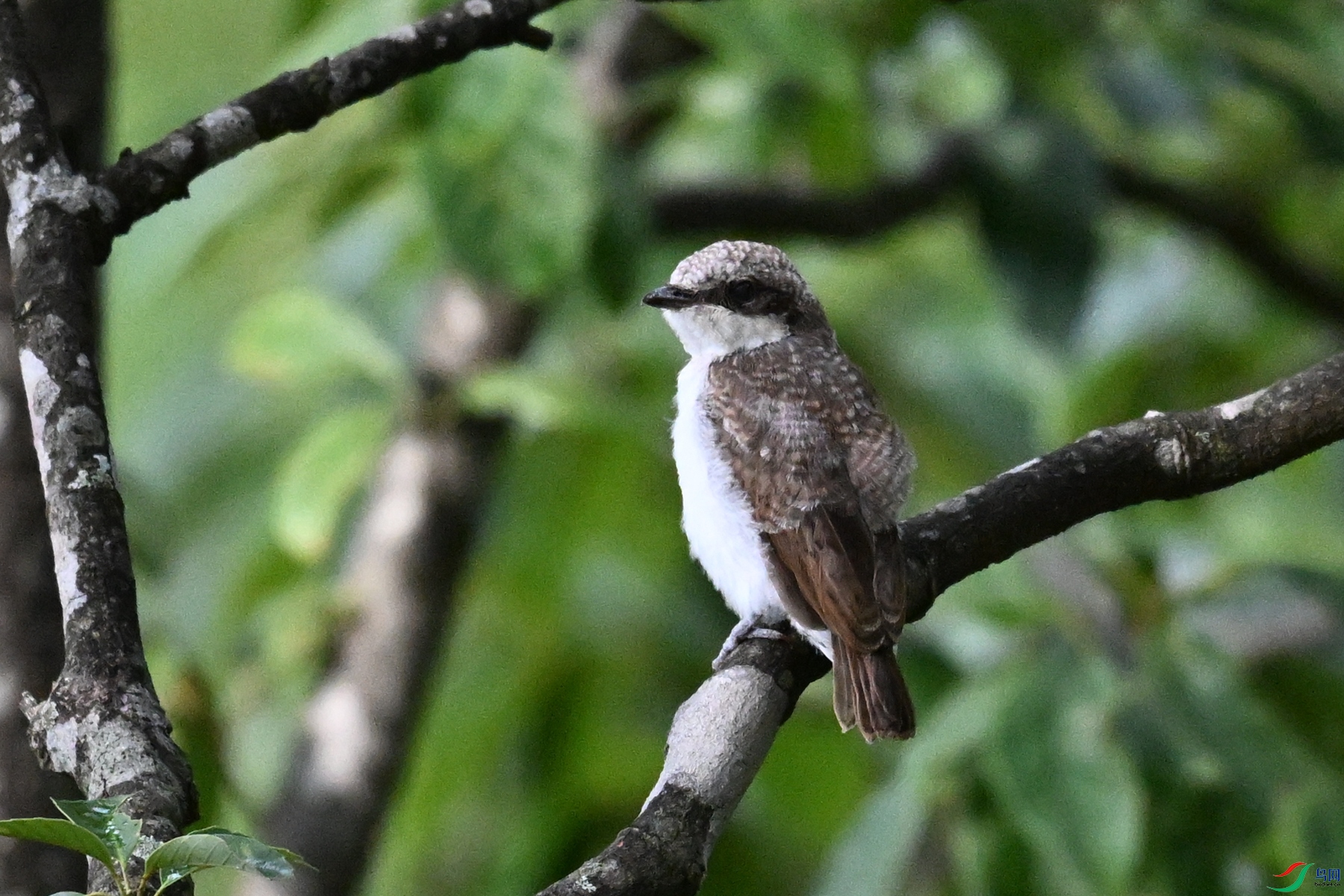 DSC_2074.JPG